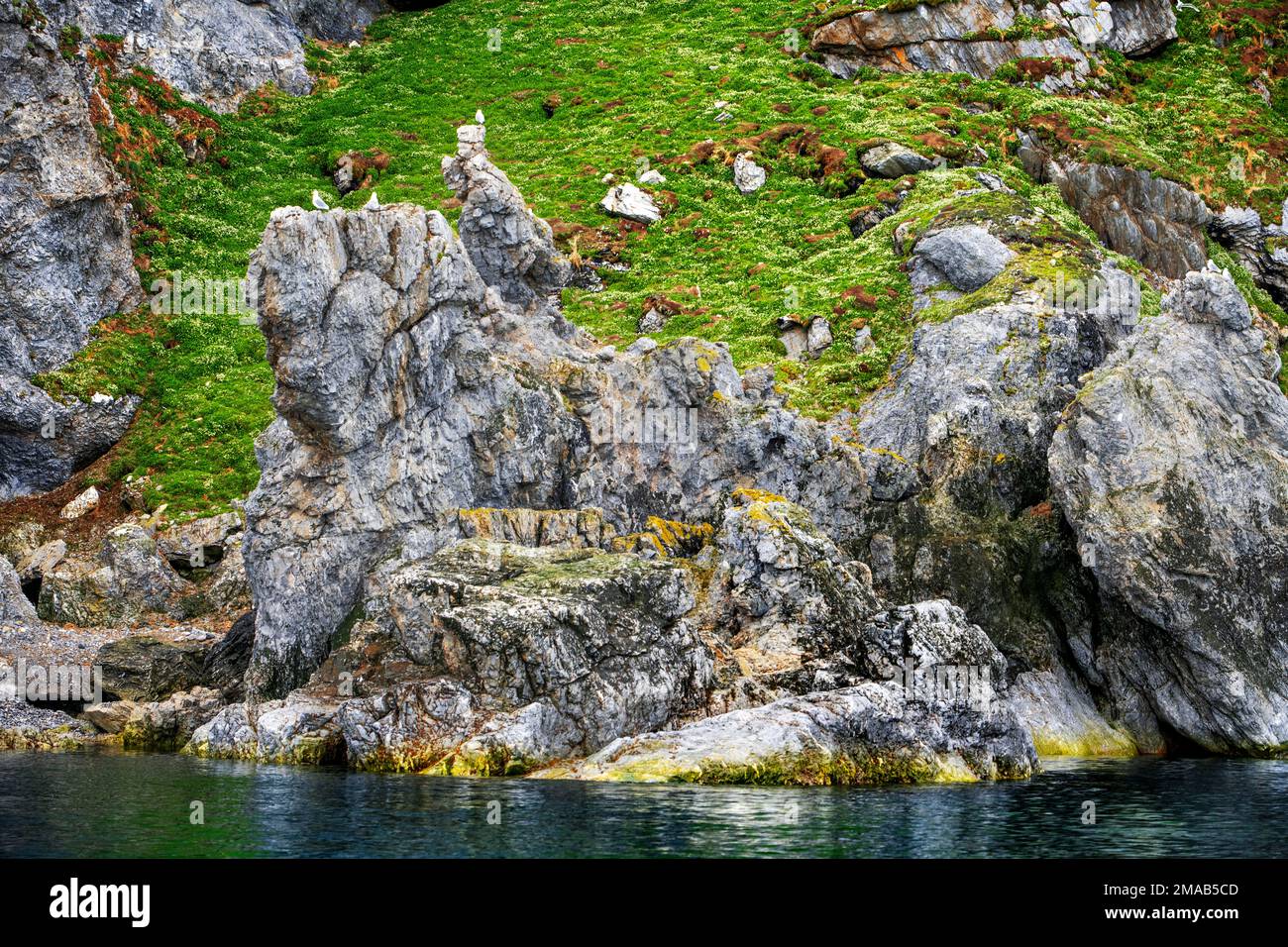 Montagnes rocheuses d'oiseaux falaises dans Bellsund Camp Millar Gasbergkilen montagnes, Europe, paysages, mer, Midterhuken, Norvège, région polaire, Spitzbergen, S Banque D'Images
