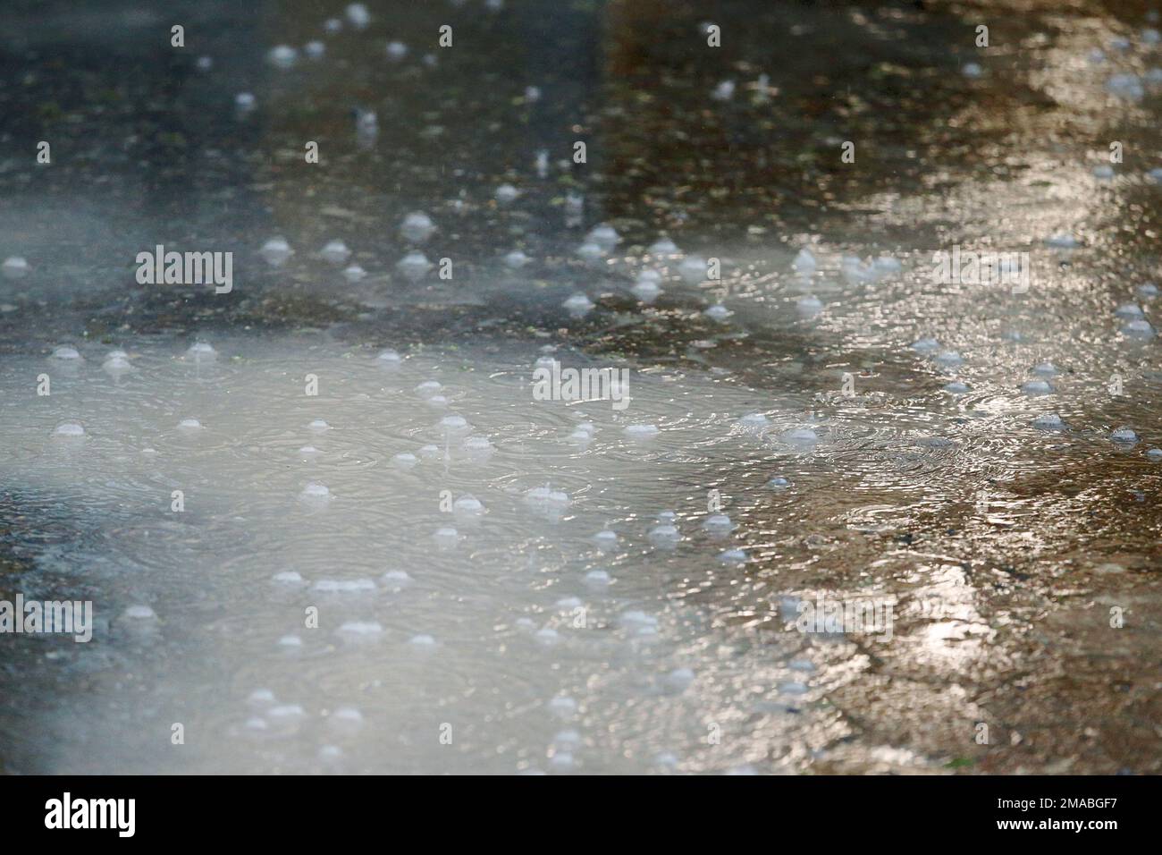 20.05.2022, Allemagne, Basse-Saxe, Hanovre - des gouttes de pluie se brisent dans une caution. 00S220520D081CAROEX.JPG [VERSION DU MODÈLE : NON APPLICABLE, VERSION DU MODÈLE : Banque D'Images