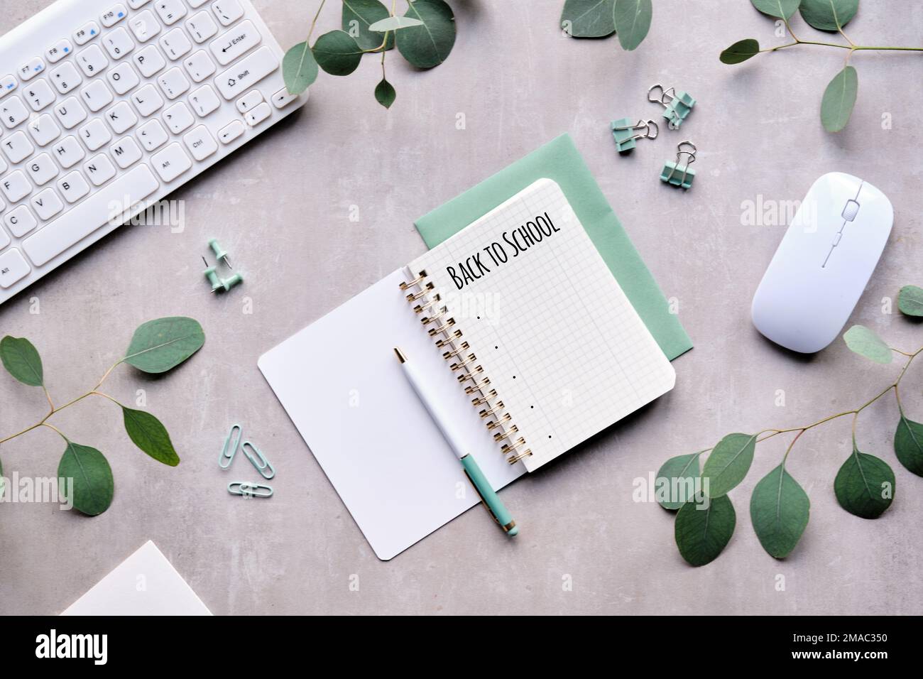 Photo aérienne de retour à l'école. Brindilles d'eucalyptus, clavier, souris d'ordinateur et fixe sur un plan d'examen en pierre jaune pâle beige neutre. Plat, dessus Banque D'Images