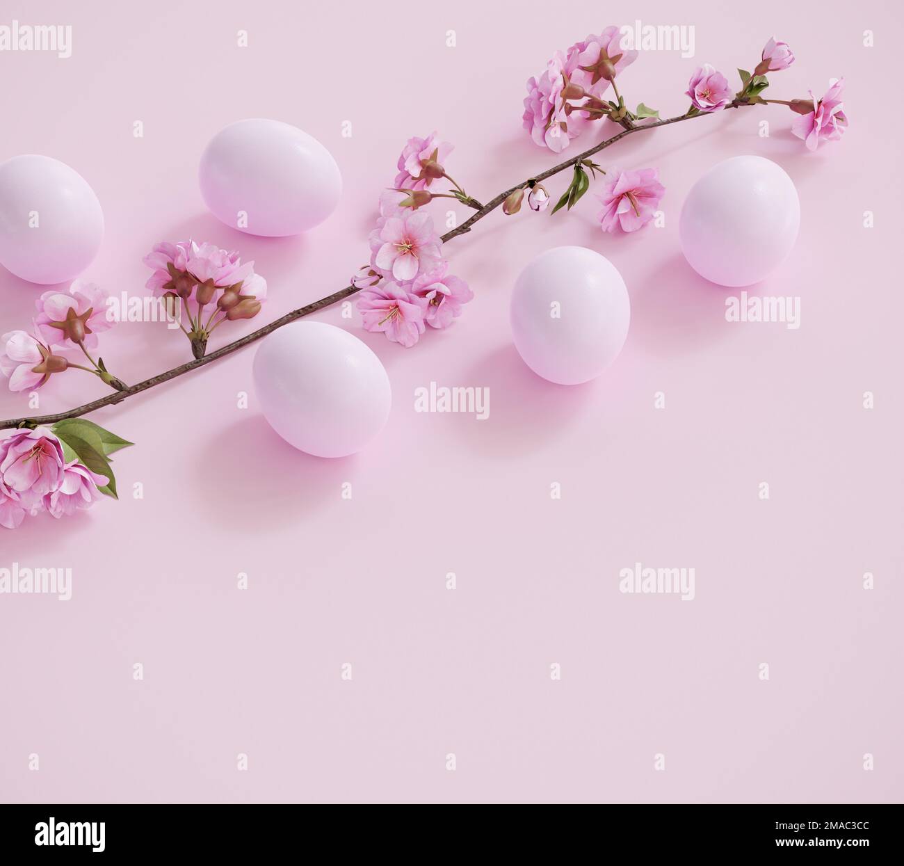 Fond de Pâques : oeufs de Pâques sur fond rose pastel avec une branche d'un cerisier fleuri Banque D'Images