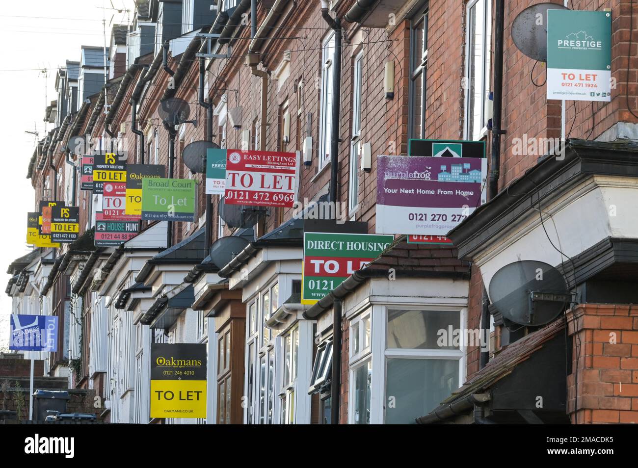 Selly Oak, Birmingham, 19 janvier 2023 - Une rangée de propriétés mitoyennes à louer à Selly Oak, Birmingham. Les prix des logements ont chuté à un rythme plus rapide que prévu, mais le nombre de ménages louant des logements privés au Royaume-Uni a plus que doublé au cours des deux dernières décennies, selon le recensement de 2021, pour atteindre 5 millions. Les loyers moyens au Royaume-Uni ont augmenté de 10,8 % par an en décembre 2022. Comme les prix de l'énergie continuent de rester élevés, les coûts de location d'une propriété le font aussi. Crédit : arrêtez Press Media/Alamy Live News Banque D'Images