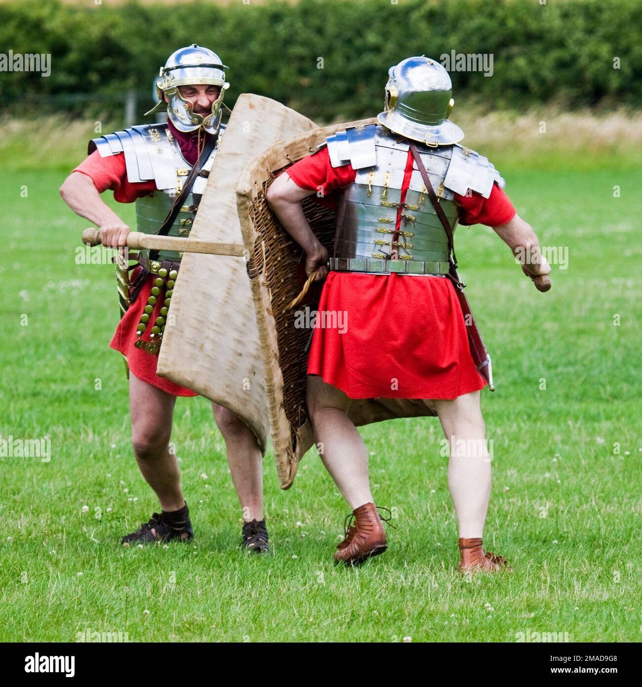 Légionnaires de l'armée romaine avec épées d'entraînement de la rudis pratiquant le combat Banque D'Images