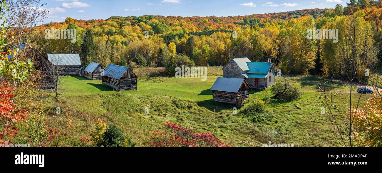 Les granges et les couleurs d'automne abandonnées : les granges et les dépendances désutilisées sont abandonnées par les couleurs d'automne des collines qui composent les bois de l'ouest du Québec. Banque D'Images