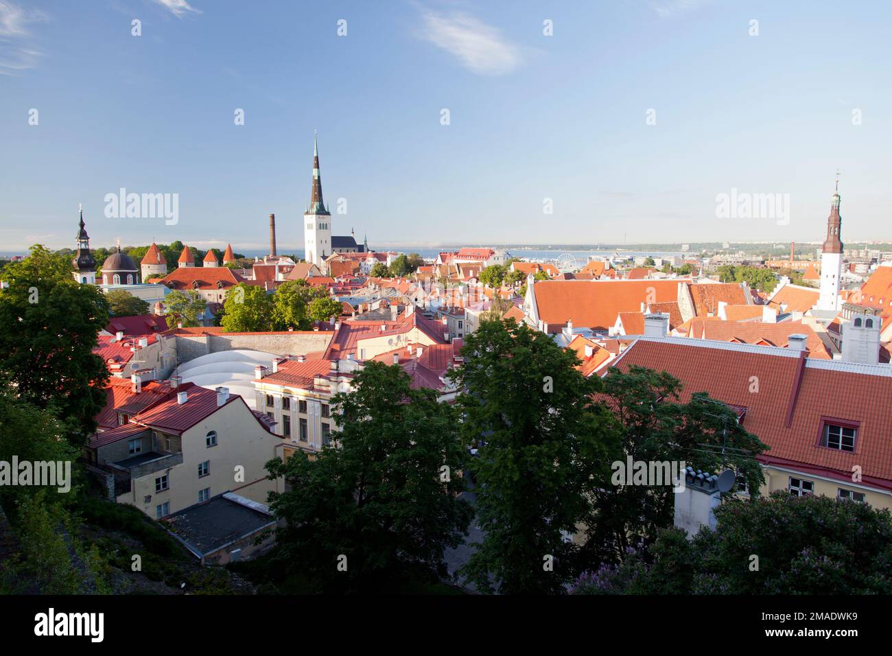 Estonie, Tallinn, vue sur les toits du vieux Tallinn. Banque D'Images