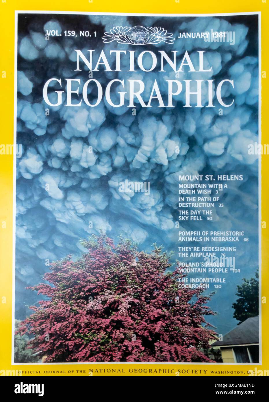 Magazine National Geographic couverture janvier 1981 Photo Stock - Alamy