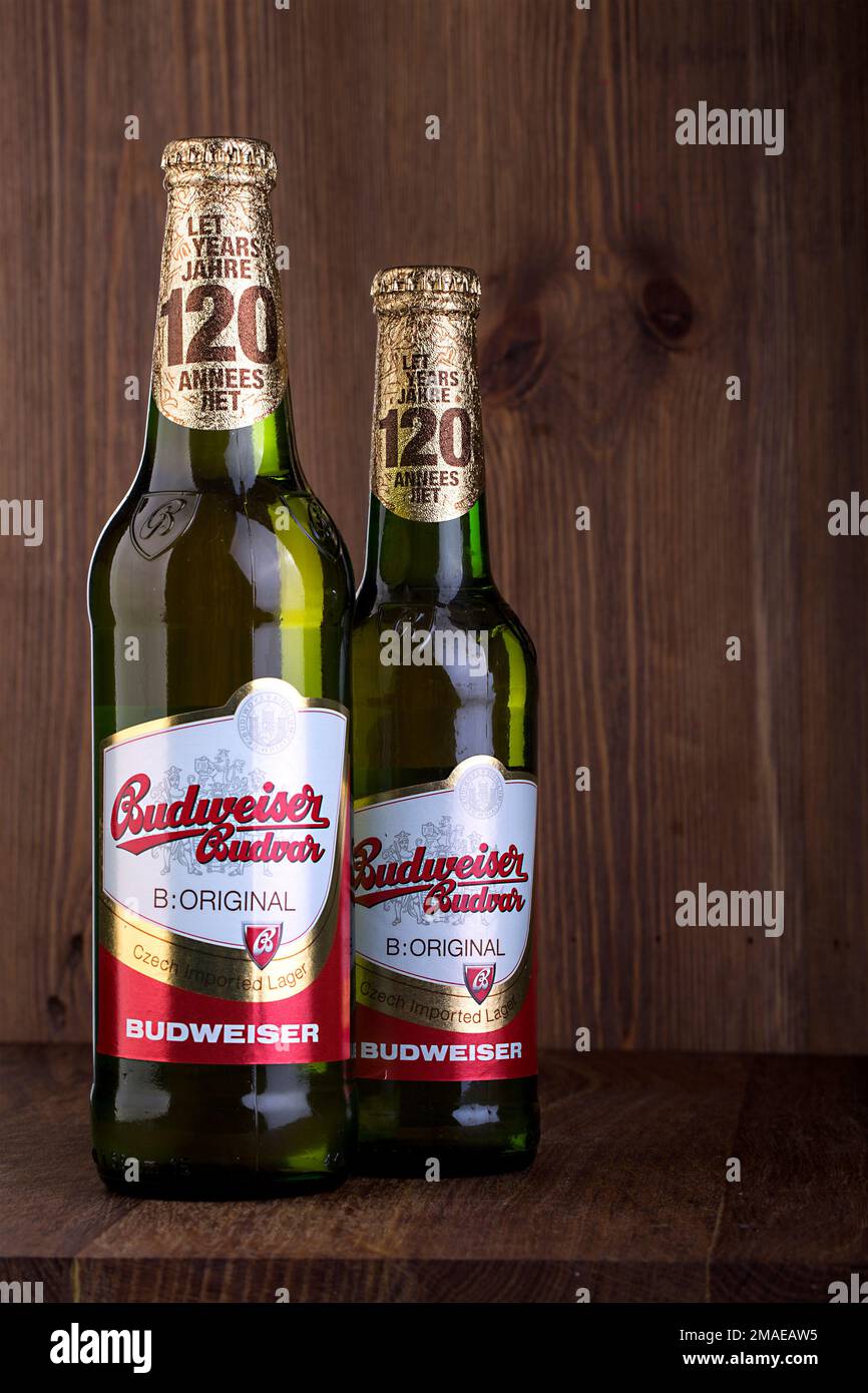 CHISINAU, MOLDOVA - FÉVRIER 2016 : deux bouteilles de Budweiser sur la table en bois d'Anheuser-Busch InBev, Budweiser est l'une des meilleures ventes d Banque D'Images