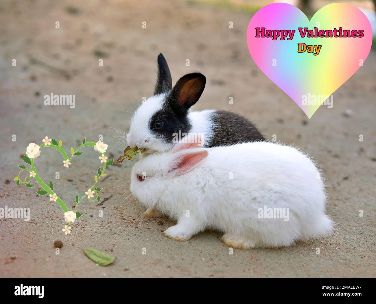 Deux adorables lapins romantiques partageant un repas. Banque D'Images