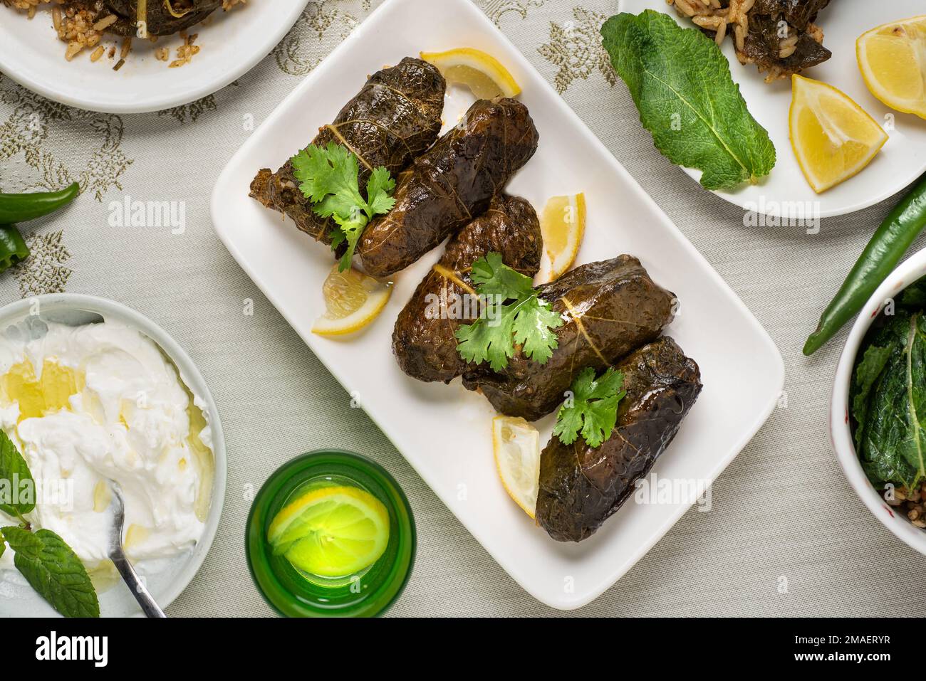 régime alcalin de kale farci Banque D'Images