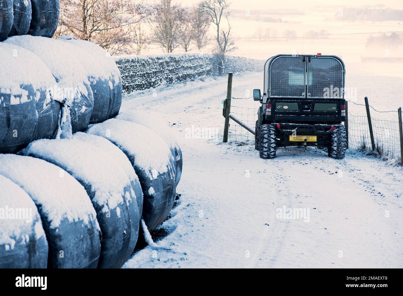 Couverture de neige légère sur les grosses balles recouvertes de plastique noir épais. Petit véhicule agricole couvert de type quad. Stationné à proximité. Banque D'Images