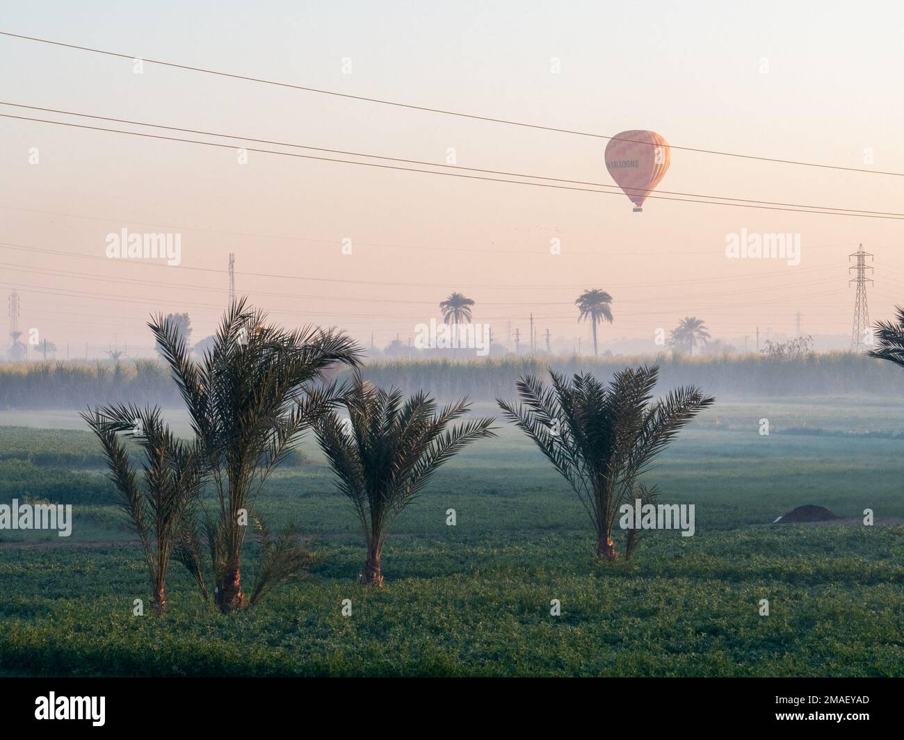 Ballons d'air chaud volant entre le champ agricole à Louxor, en Égypte. Banque D'Images