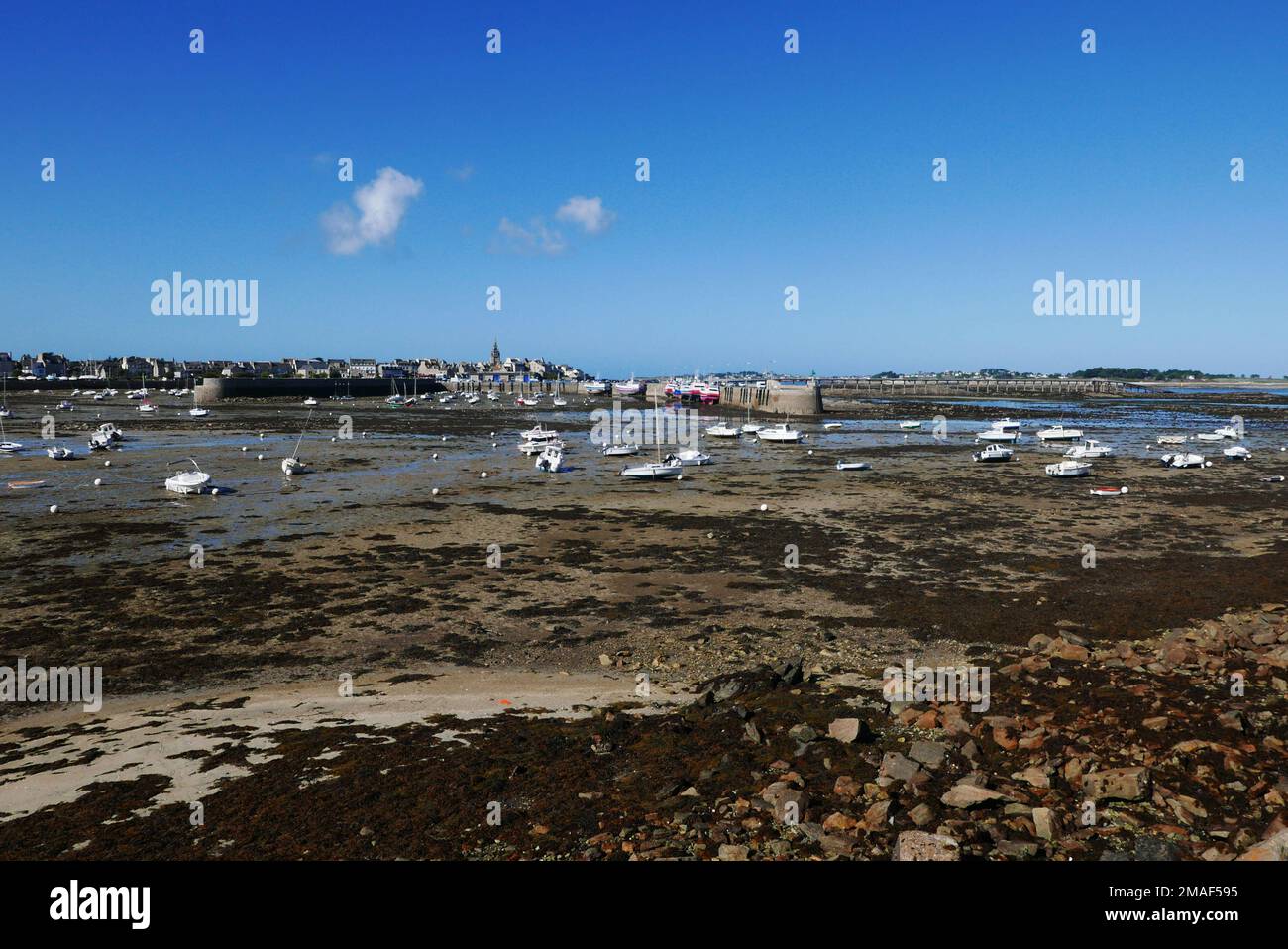 Port de Roscoff à marée basse, Finistère, Bretagne, France, Europe Banque D'Images