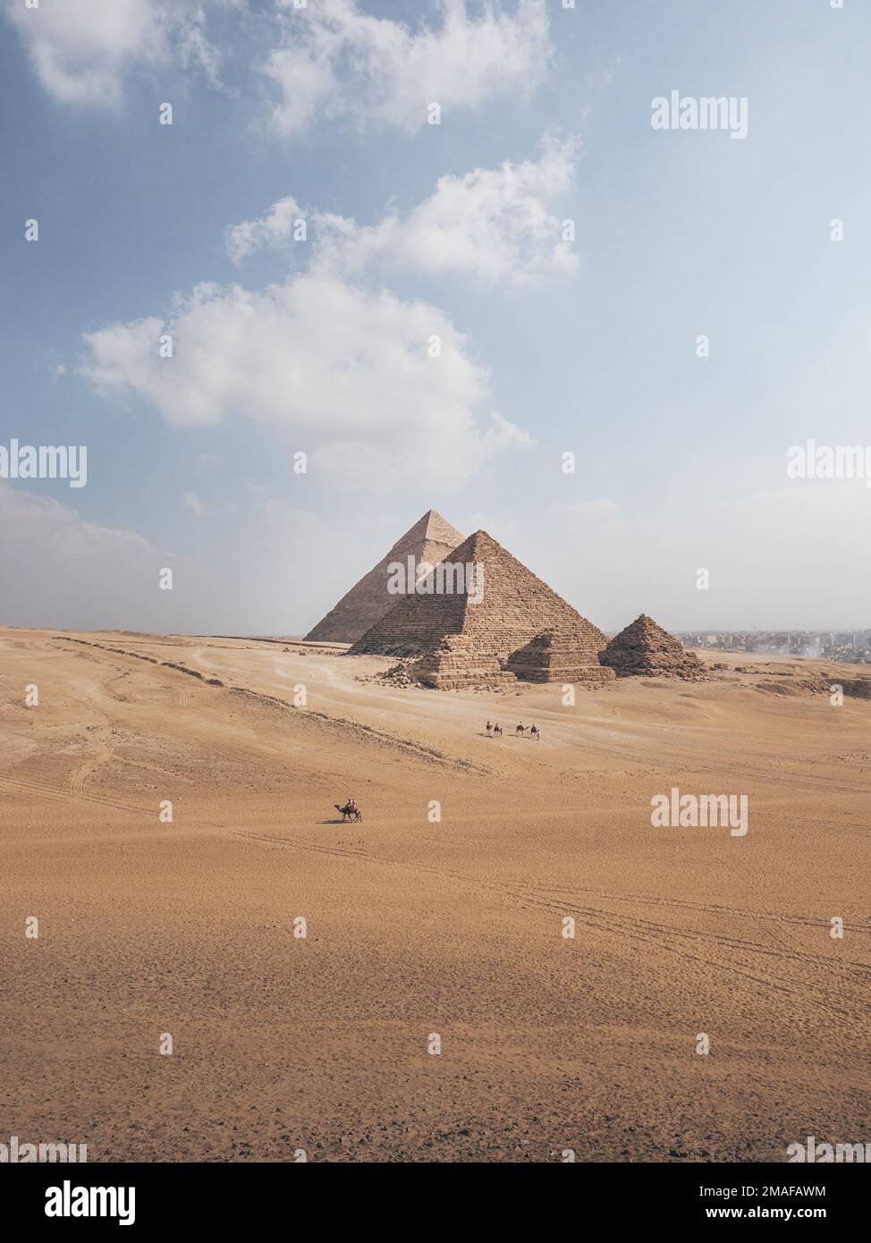 Vue sur les pyramides de Gizeh, le Caire, l'Egypte avec des chameaux en premier plan et la ville en arrière-plan. Banque D'Images