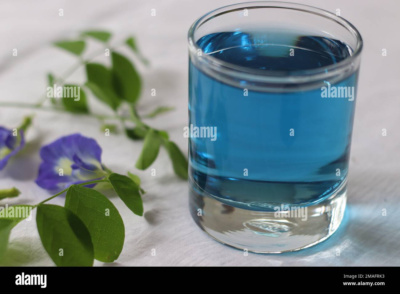 Thé de fleur de pois papillons. Un thé aux herbes fait avec des fleurs de la plante de Clitoria ternatea, originaire de l'Asie du Sud-est. La boisson de couleur bleu de cobalt est variée Banque D'Images