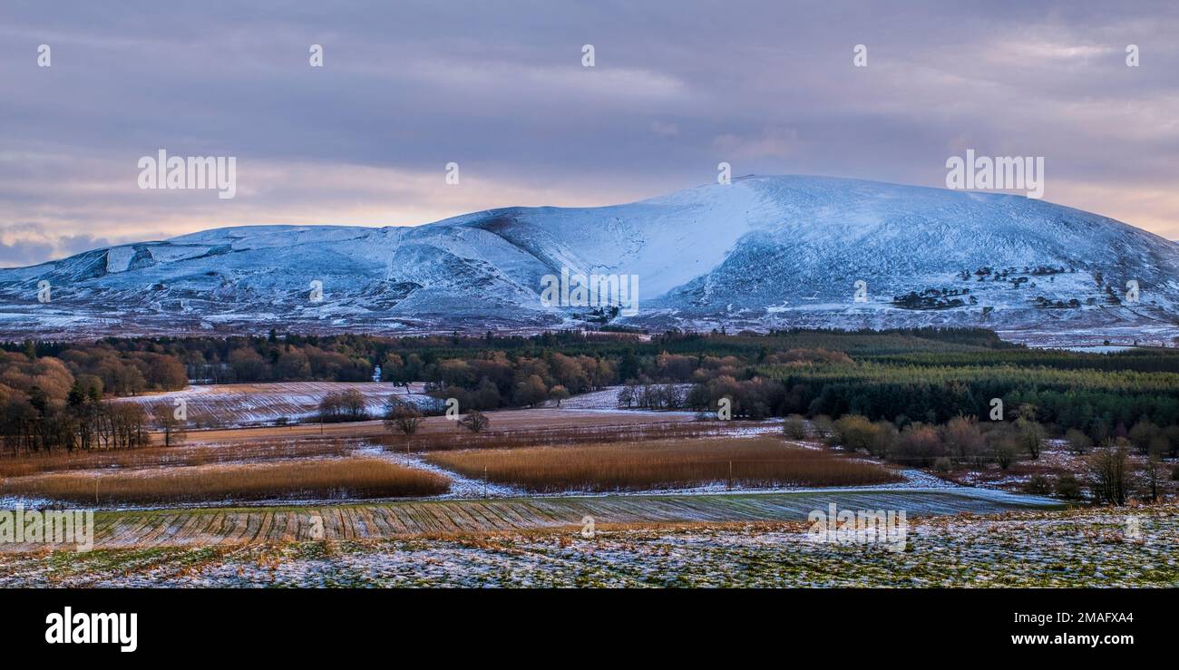 Un paysage d'hiver rural avec Tinto Hill près du village de Carmichael dans le sud du Lanarkshire, en Écosse Banque D'Images