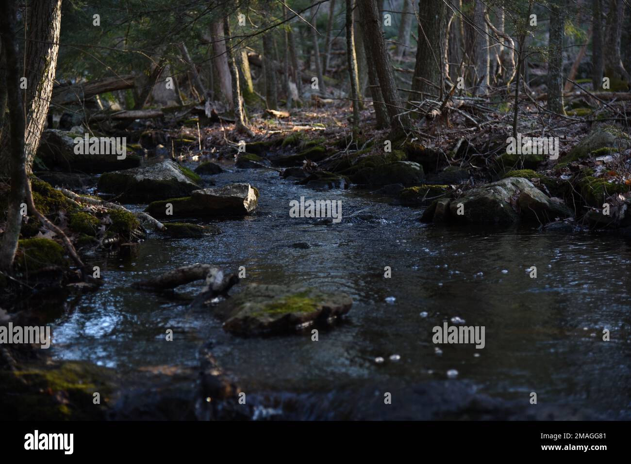Les roches couvertes de mousse atteignent un pic à travers un petit débit d'eau Banque D'Images
