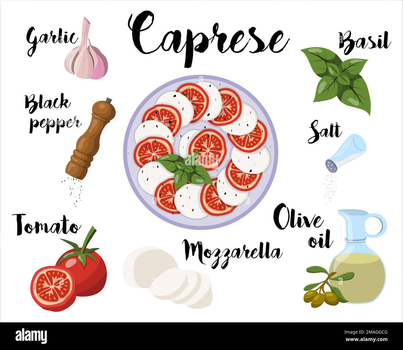 affiche de cuisine avec recette de salade caprese. Illustration vectorielle sur fond blanc Illustration de Vecteur