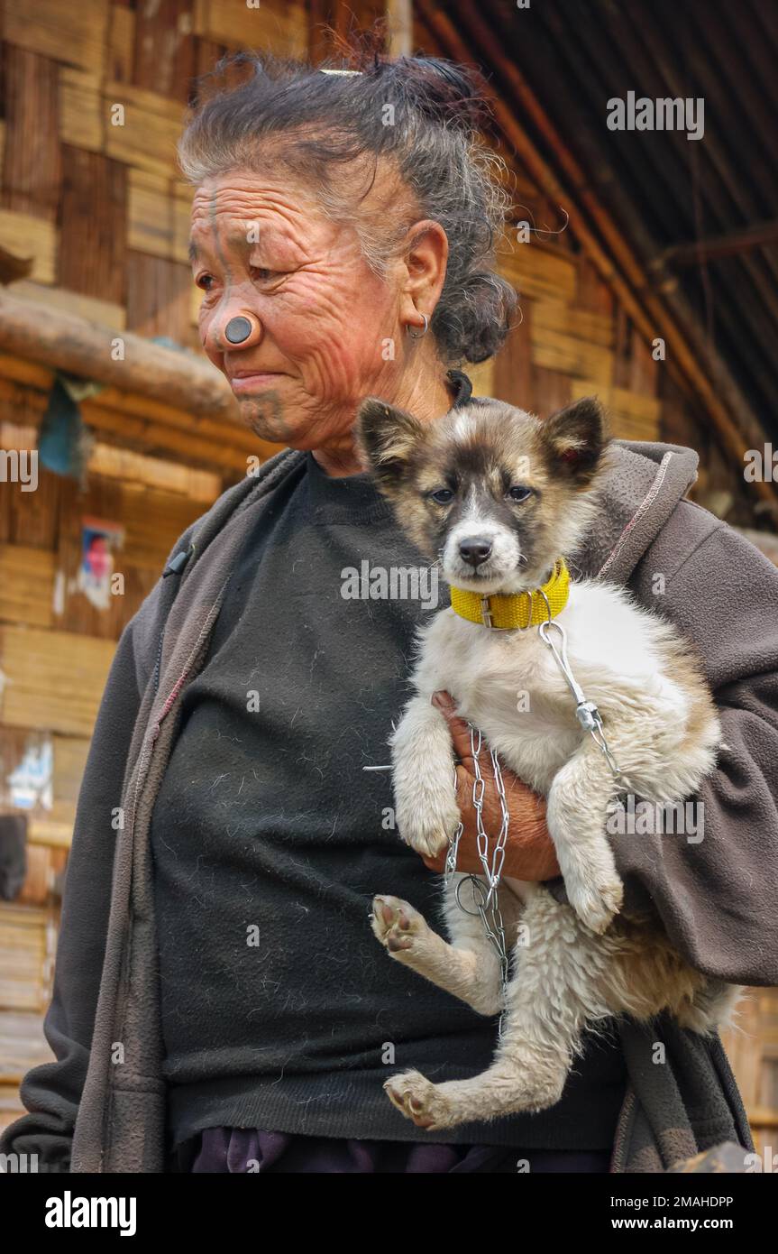 Ziro, Arunachal Pradesh, Inde - 02 24 2009 : Portrait de la vieille femme tribale d'Apatani avec des tatouages faciaux traditionnels et des bouchons de nez portant le chien de chiot Banque D'Images
