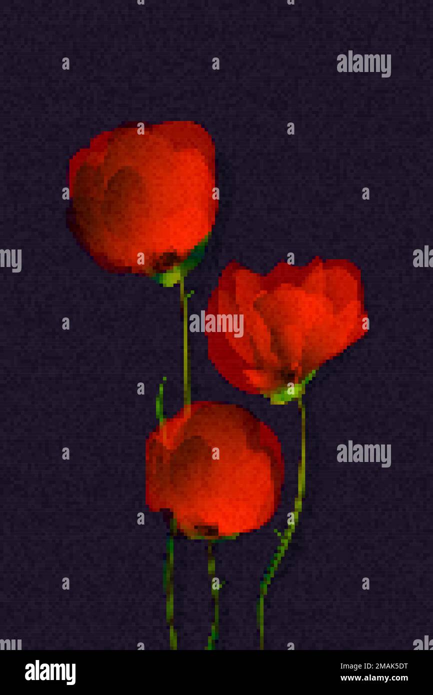 Des coquelicots rouges sur un arrière-plan drak, illustration de pixel art Illustration de Vecteur