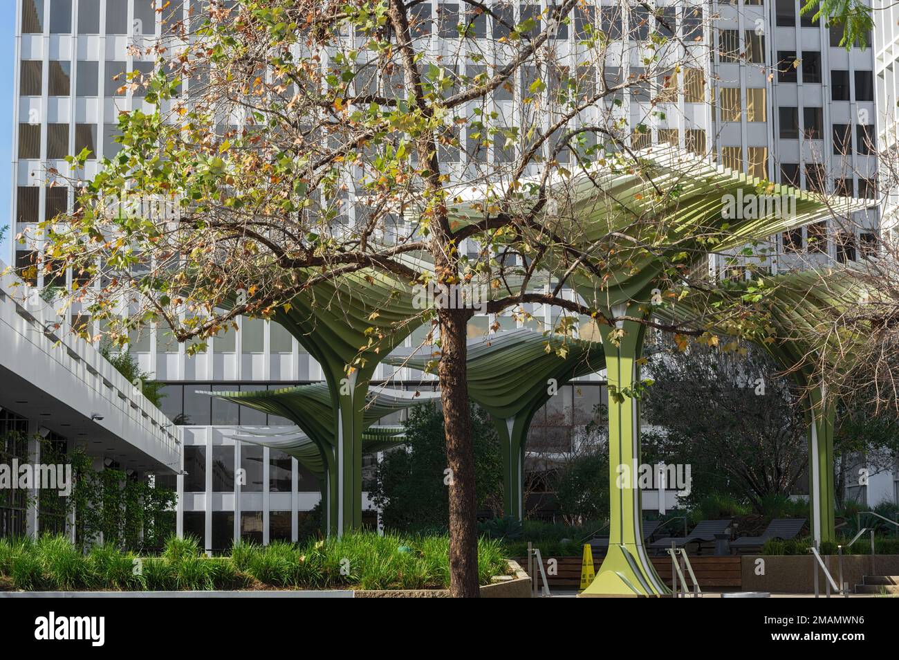 Art architectural, arbres métalliques et immeubles de bureaux modernes dans le quartier des affaires de South Lake à Pasadena. Banque D'Images