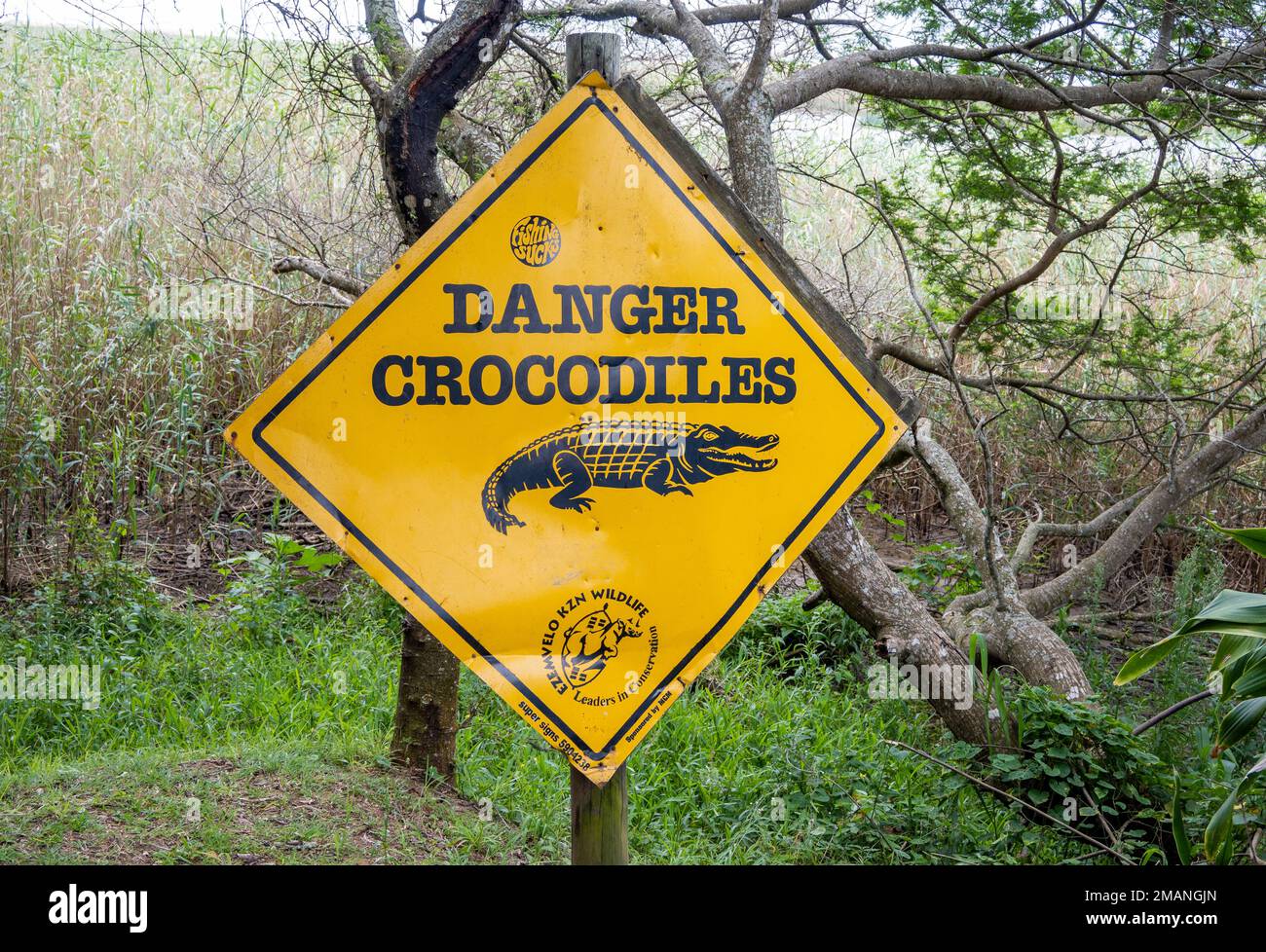 Panneau d'avertissement danger de crocodiles. KwaZulu Natal, Afrique du Sud. Banque D'Images