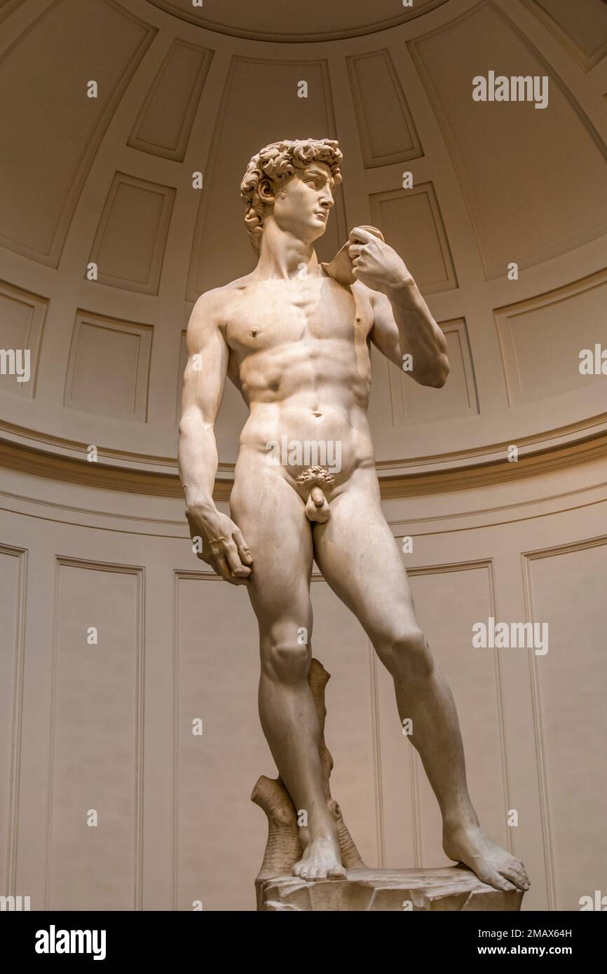 David de Michel-Ange dans la Galleria dell'Accademia, San Marco, Florence, Italie. Banque D'Images