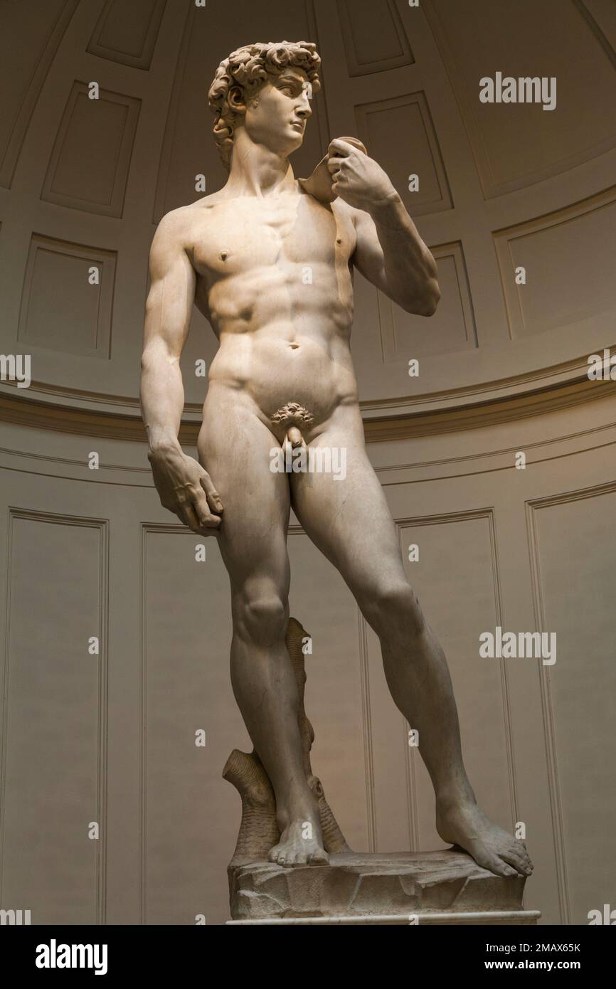 David de Michel-Ange dans la Galleria dell'Accademia, San Marco, Florence, Italie. Banque D'Images