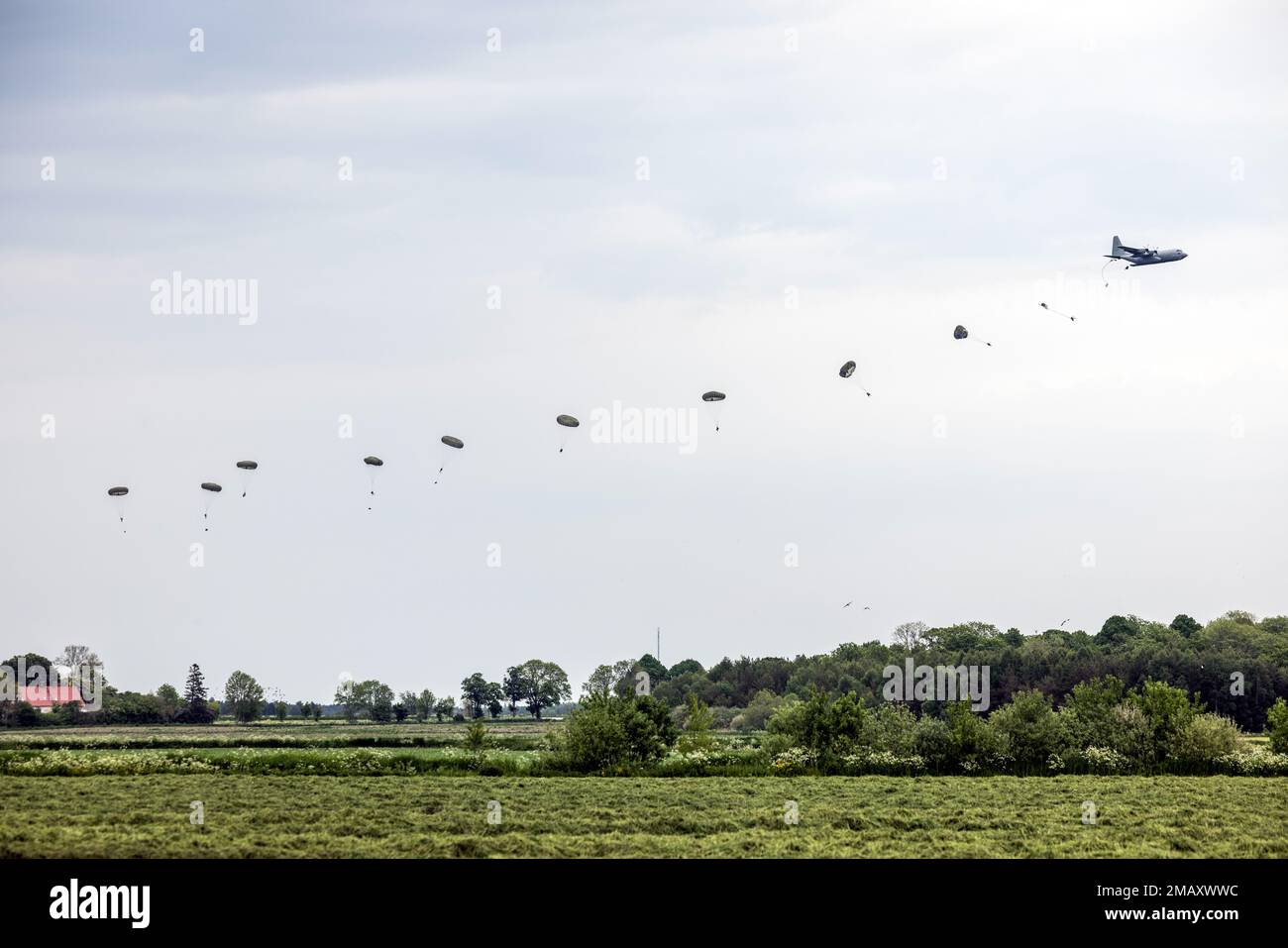 GOTLAND, Suède (7 juin 2022) les parachutistes suédois sautent d'un avion Hercules TP84 pendant BALTOPS 22. BALTOPS 22 est le premier exercice axé sur la mer dans la région Baltique. L'exercice, dirigé par les États-Unis Les forces navales Europe-Afrique, exécutées par les forces navales de frappe et de soutien de l’OTAN, offrent une occasion unique d’entraînement pour renforcer les capacités d’intervention combinées essentielles à la préservation de la liberté de navigation et de la sécurité dans la mer Baltique. (Photo des forces armées suédoises par Antonia Sehlsted) Banque D'Images