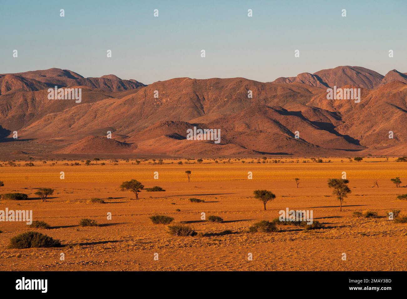 Paysage de sable désertique avec des montagnes lointaines le soir en Namibie Banque D'Images