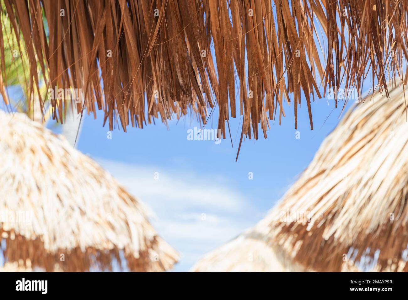Photo d'arrière-plan de plage floue avec parasols en bois. République dominicaine Banque D'Images