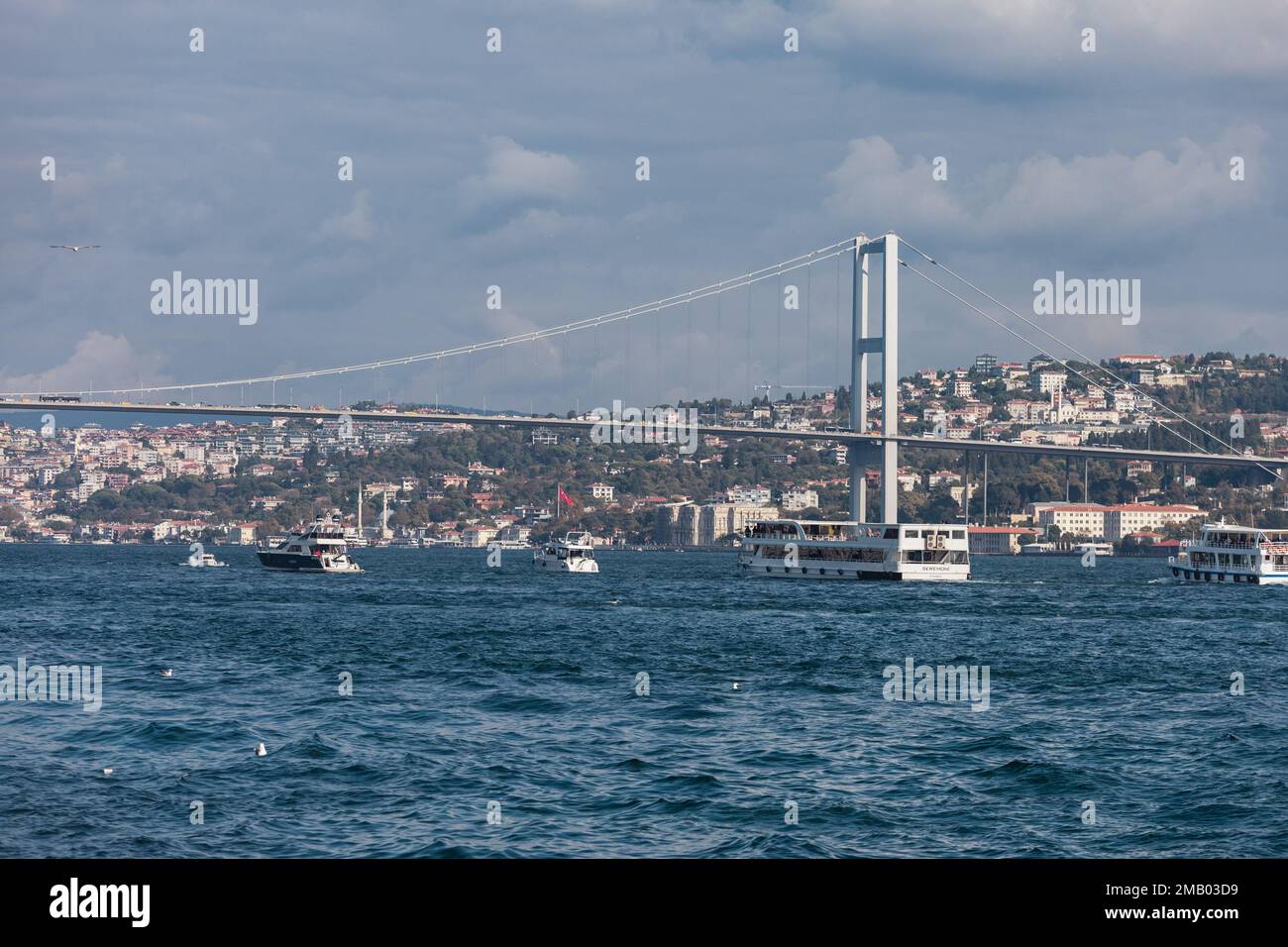 Paysage urbain d'Istanbul. Vieille ville avec bâtiments. ISTANBUL, TURQUIE. Banque D'Images