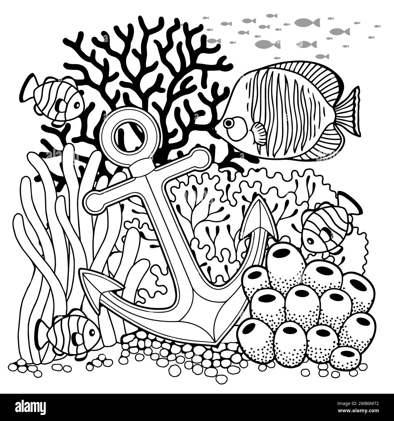 Page de livre de coloriage vectoriel pour adultes. Illustration en noir et blanc de la vie sous-marine, de la créature marine, de la carapace, des algues et des poissons Illustration de Vecteur