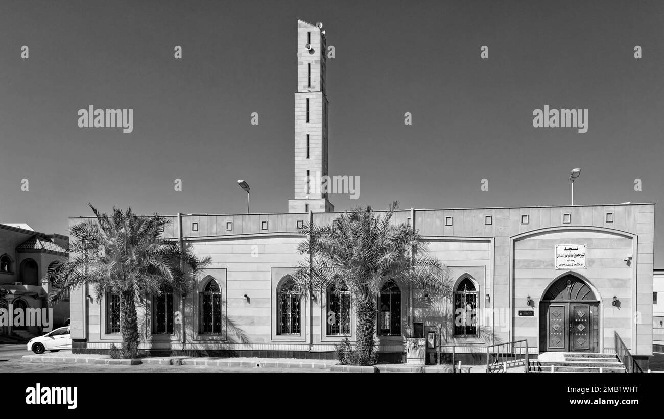 Mosquée B&W. Banque D'Images