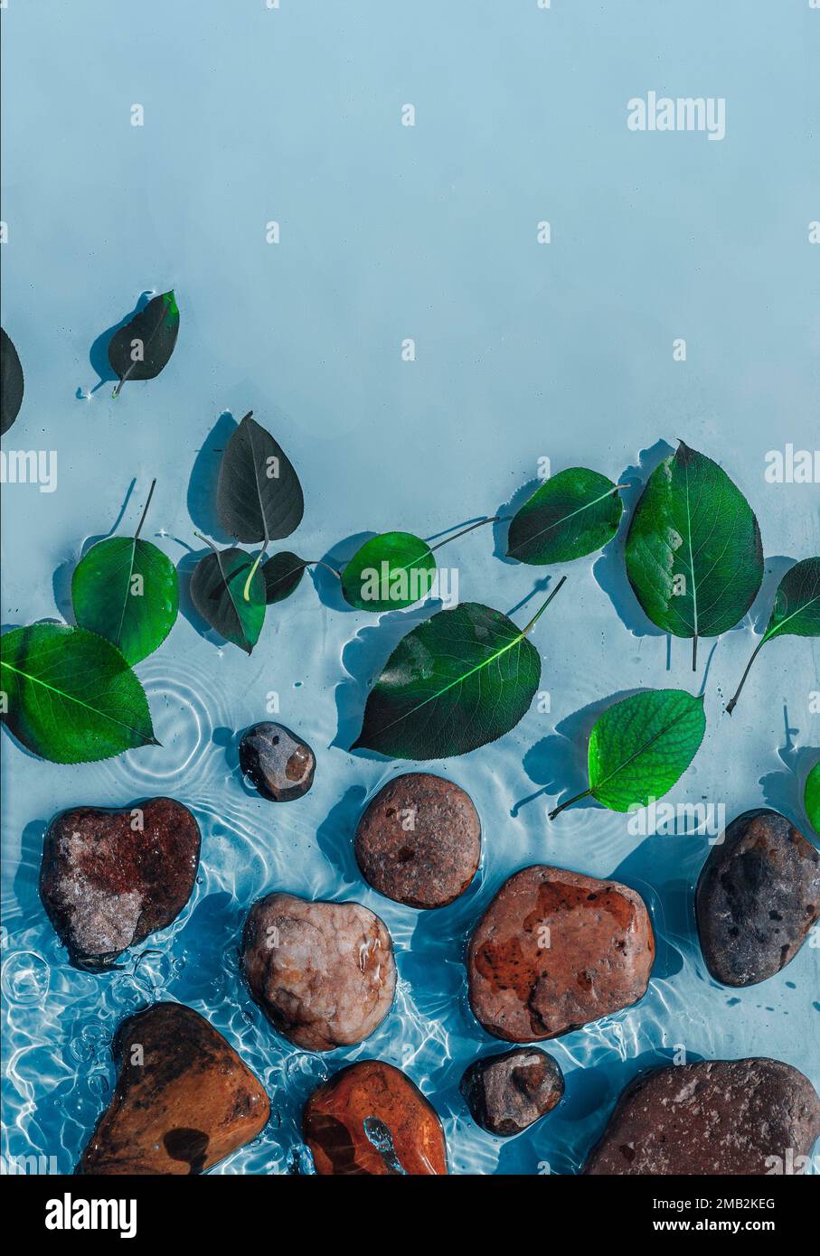 L'eau s'ondule avec des feuilles et des pierres vertes. Arrière-plan bleu tendance pour la présentation des produits cosmétiques. Copier l'espace Banque D'Images