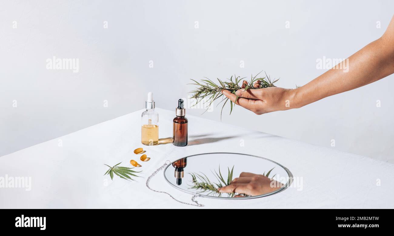 Cannabis en main. Pilules pharmaceutiques, capsules sur une table blanche. Concept production de mélatonine et restauration de la routine de sommeil. feuilles, huile cbd Banque D'Images