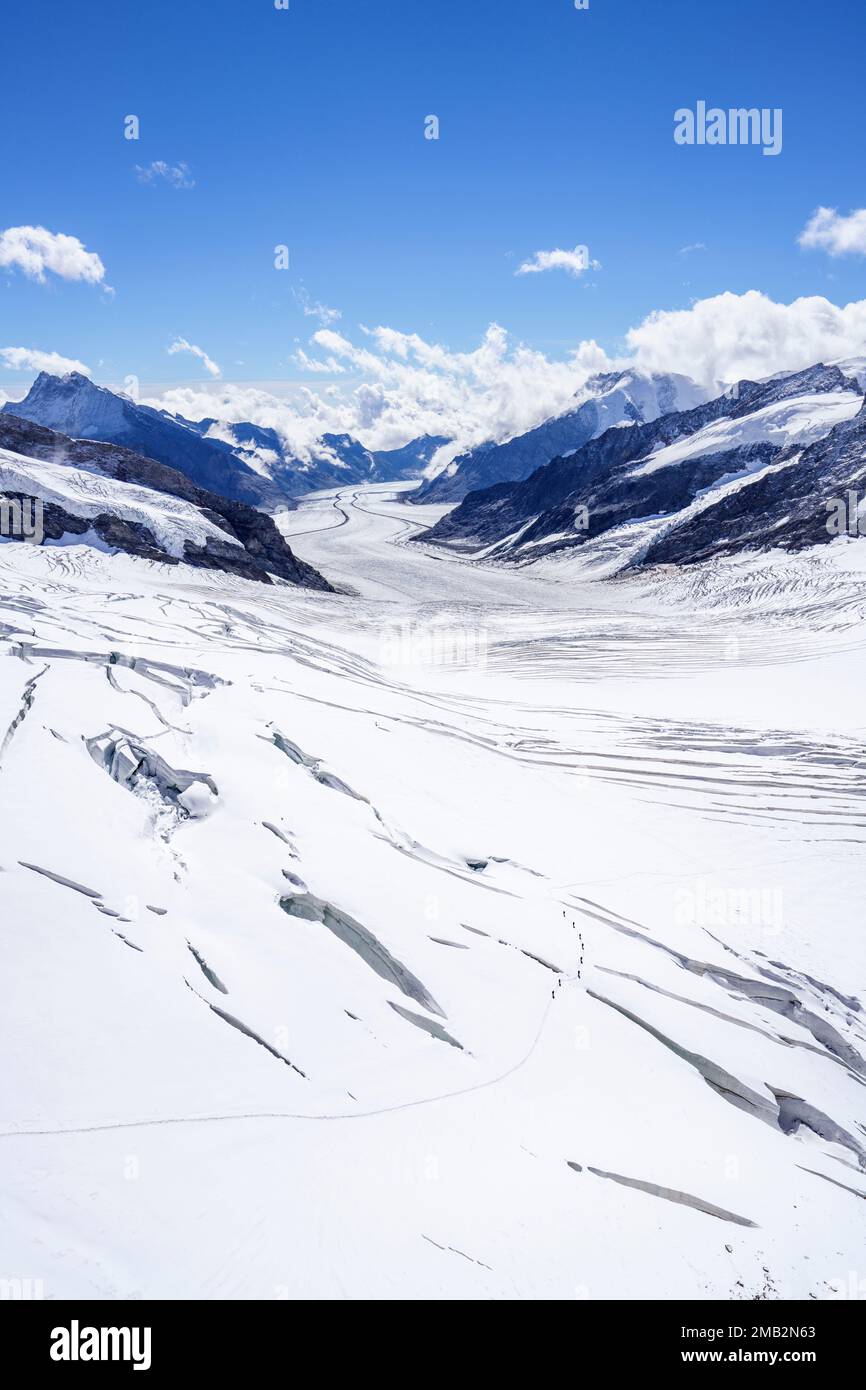 Vue sur le glacier d'Aletsch depuis la Jungfraujoch, les Alpes bernoises, la Suisse et l'Europe Banque D'Images