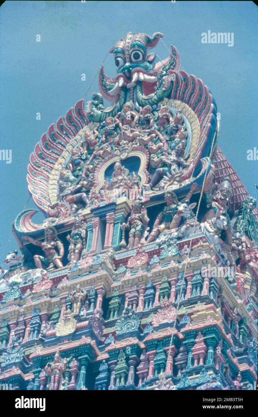 Le temple d'Arulmigu Meenakshi Sundaraswalar est un temple hindou historique situé sur la rive sud de la rivière Vaigai, dans la ville de temple de Madurai, Tamil Nadu, Inde. Elle est dédiée à la déesse Meenakshi, une forme de Shakti, et à son consort, Sundareshwalar, une forme de Shiva. Le temple de Madurai Meenakshi Sundarwarar a été construit par l'empereur Pandayan Sadayavarman Kulasekaran 1190 le fait le plus populaire sur le temple est qu'il abrite une salle qui a mille piliers, une piscine sacrée avec un lotus doré où vous pouvez prendre un bain rituel, une salle de mariage, petits sanctuaires, jardins et bergers d'éléphants. Banque D'Images