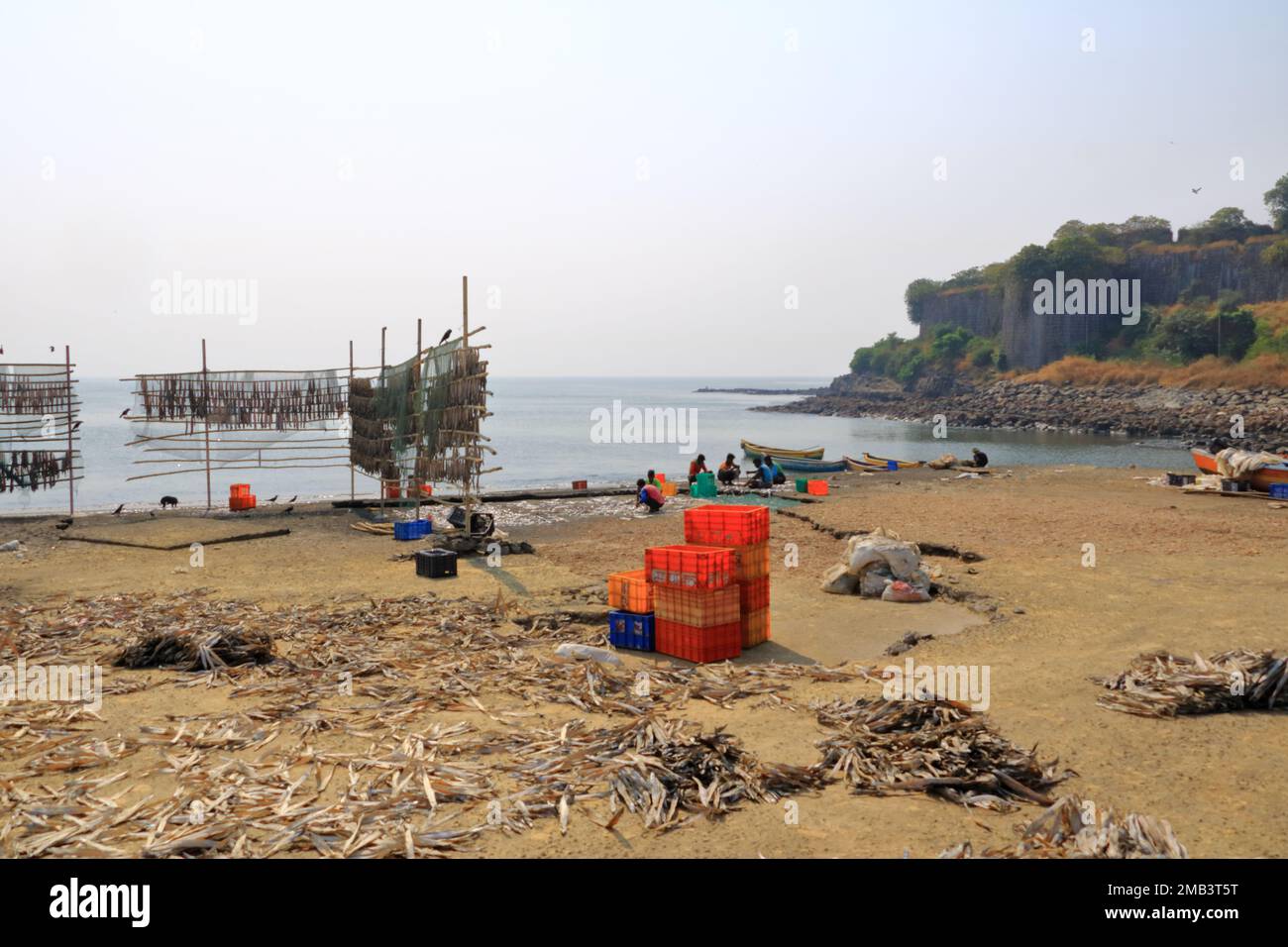 Killeshwar 21 décembre 2022 - Mumbai, Maharashtra en Inde : port de pêche à Mumbai ...