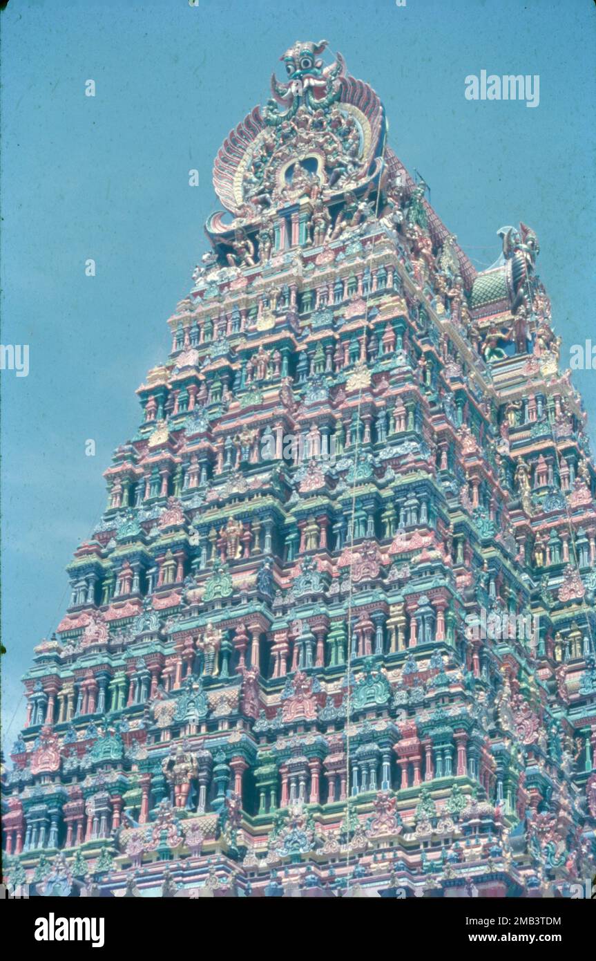Le temple d'Arulmigu Meenakshi Sundaraswalar est un temple hindou historique situé sur la rive sud de la rivière Vaigai, dans la ville de temple de Madurai, Tamil Nadu, Inde. Elle est dédiée à la déesse Meenakshi, une forme de Shakti, et à son consort, Sundareshwalar, une forme de Shiva. Le temple de Madurai Meenakshi Sundarwarar a été construit par l'empereur Pandayan Sadayavarman Kulasekaran 1190 le fait le plus populaire sur le temple est qu'il abrite une salle qui a mille piliers, une piscine sacrée avec un lotus doré où vous pouvez prendre un bain rituel, une salle de mariage, petits sanctuaires, jardins et bergers d'éléphants. Banque D'Images
