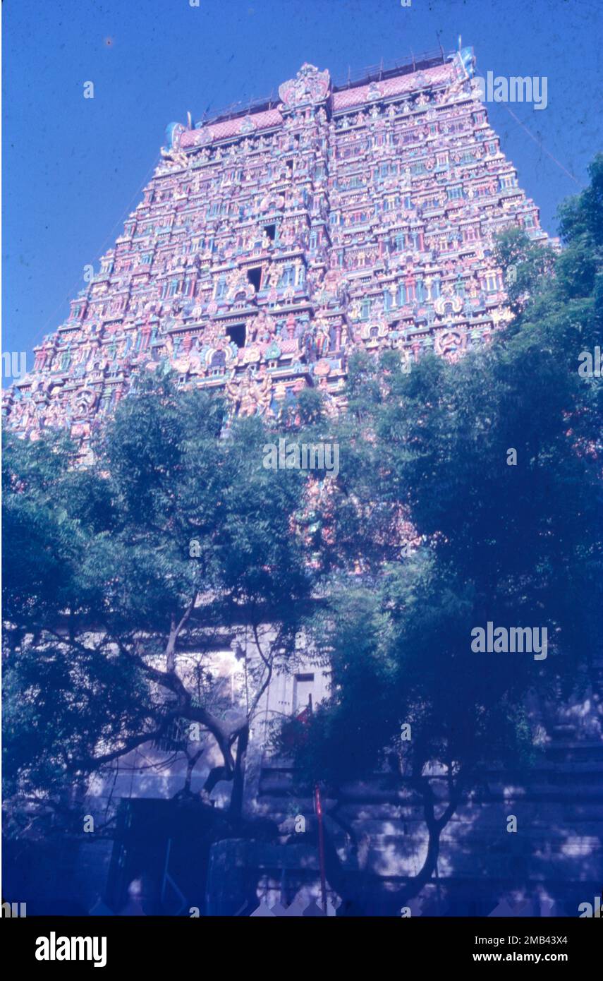Le temple d'Arulmigu Meenakshi Sundaraswalar est un temple hindou historique situé sur la rive sud de la rivière Vaigai, dans la ville de temple de Madurai, Tamil Nadu, Inde. Elle est dédiée à la déesse Meenakshi, une forme de Shakti, et à son consort, Sundareshwalar, une forme de Shiva. Le temple de Madurai Meenakshi Sundarwarar a été construit par l'empereur Pandayan Sadayavarman Kulasekaran 1190 le fait le plus populaire sur le temple est qu'il abrite une salle qui a mille piliers, une piscine sacrée avec un lotus doré où vous pouvez prendre un bain rituel, une salle de mariage, petits sanctuaires, jardins et bergers d'éléphants. Banque D'Images