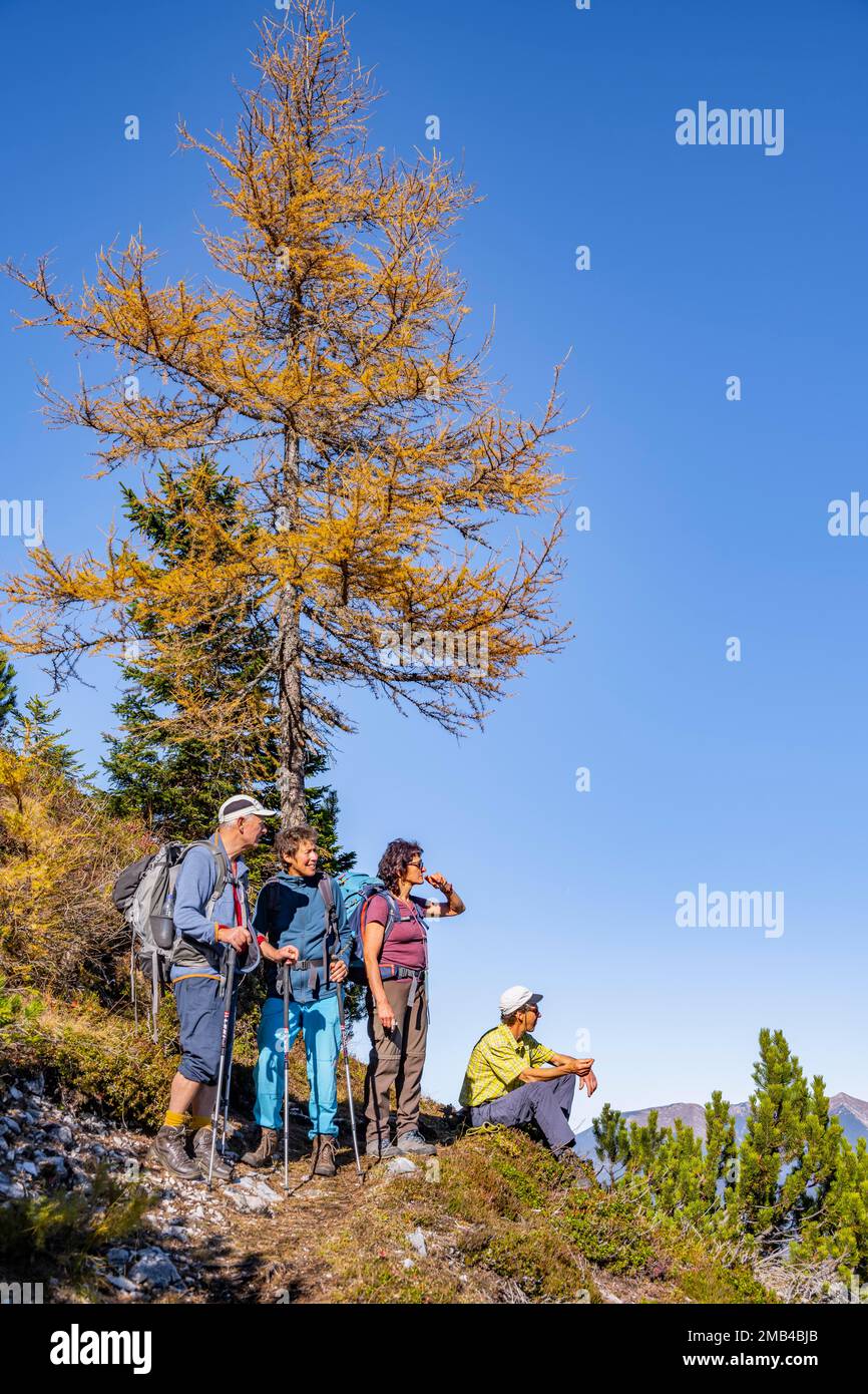 Groupe de randonneurs en automne, sentier de randonnée à Arnspitze, près de Mittenwald, Bavière, Allemagne Banque D'Images