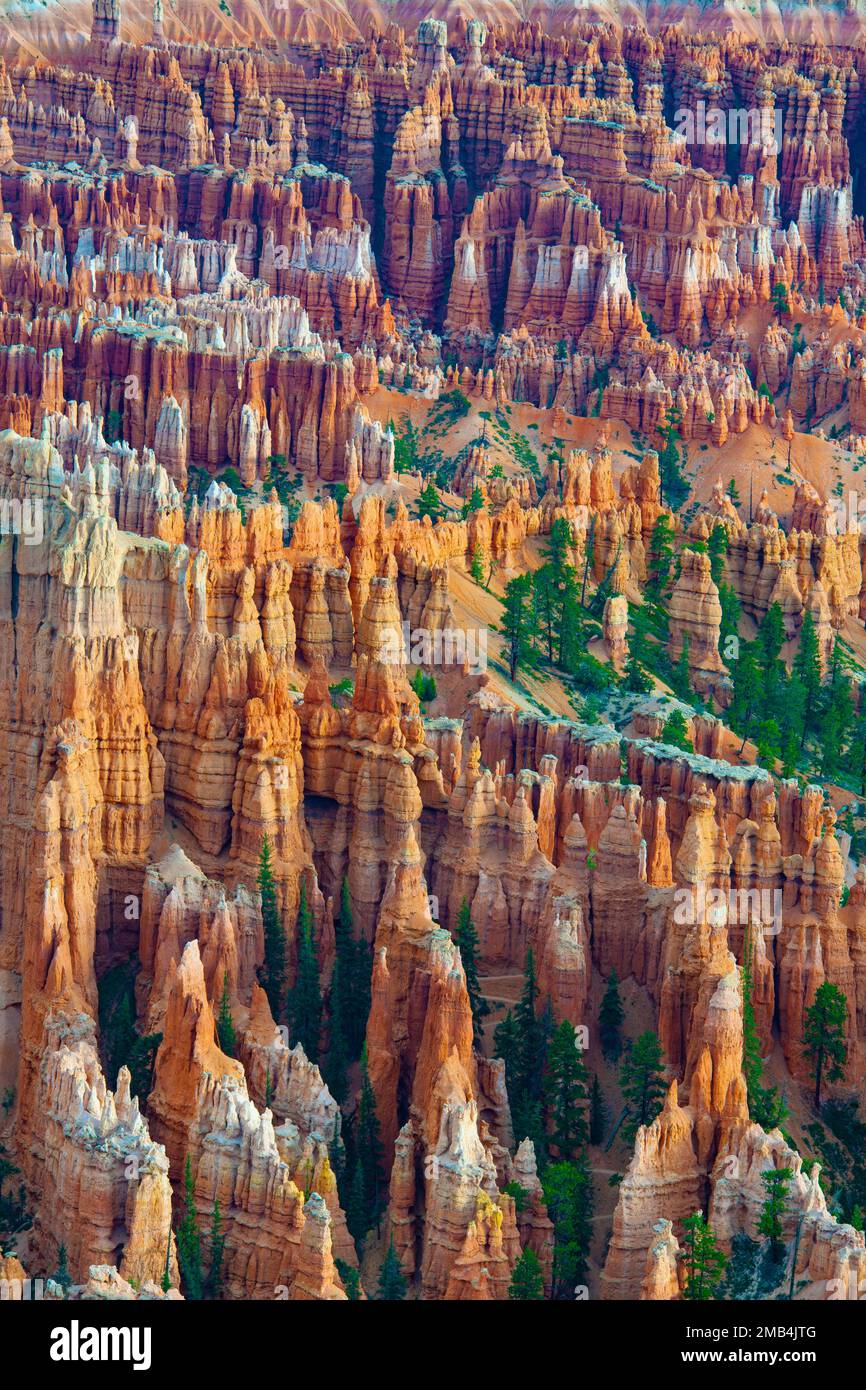 Formations rocheuses et hoodoos, Bryce Canyon at Sunrise, Bryce point, Utah, Sud-Ouest, États-Unis, Amérique du Nord Banque D'Images