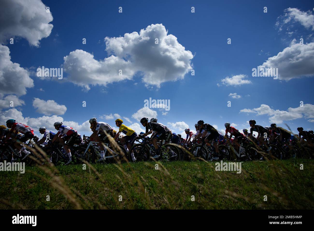 The pack with Belgium's Yves Lampaert, wearing the overall leader's yellow jersey, rides during the second stage of the Tour de France cycling race over 202.5 kilometers (125.8 miles) with start in Roskilde and finish in Nyborg, Denmark, Saturday, July 2, 2022. (AP Photo/Daniel Cole) Banque D'Images
