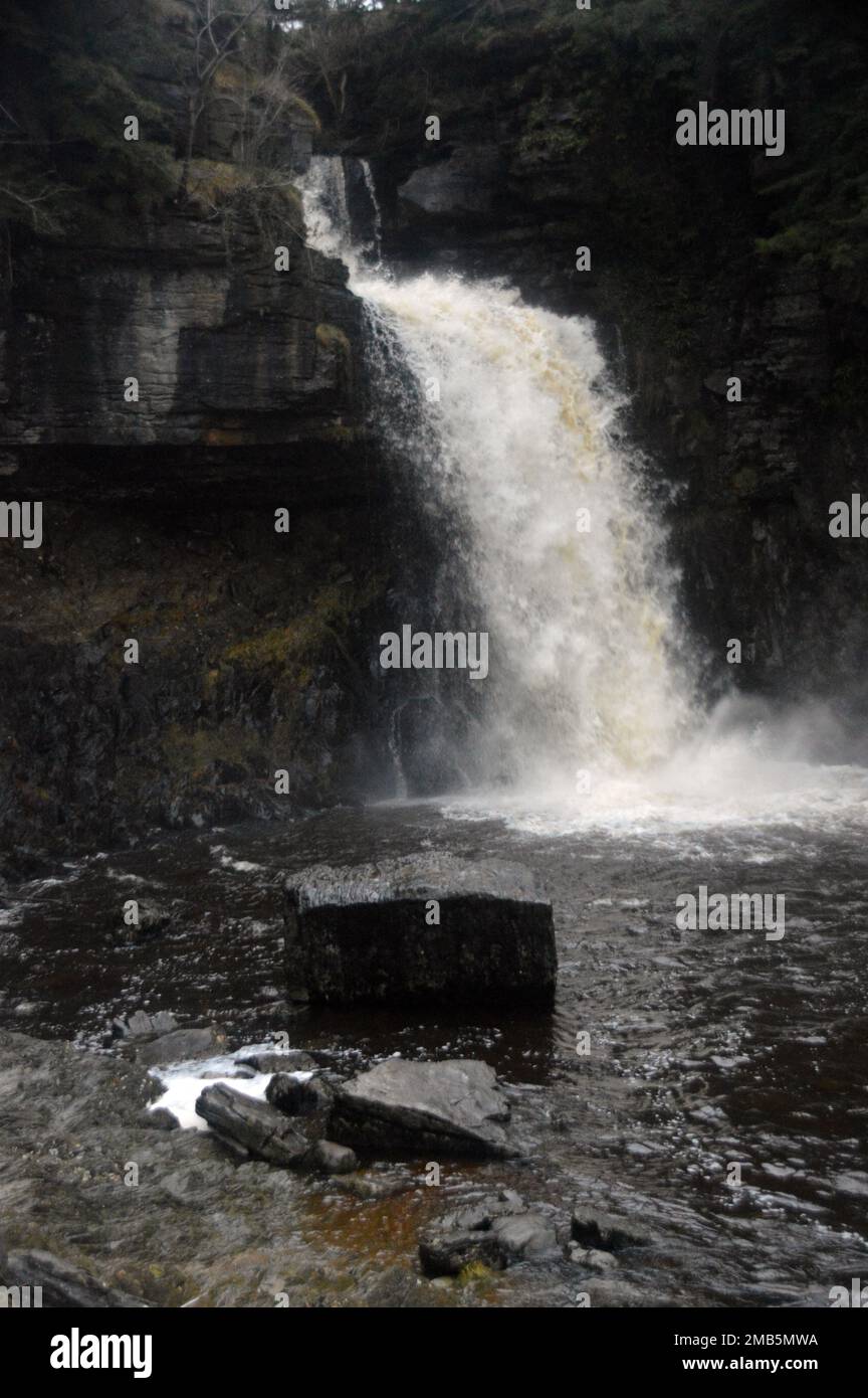 Thornton Force Waterfall in the River Twiss on the Ingleton WaterFalls Trail, Yorkshire Dales National Park, Angleterre, Royaume-Uni. Banque D'Images