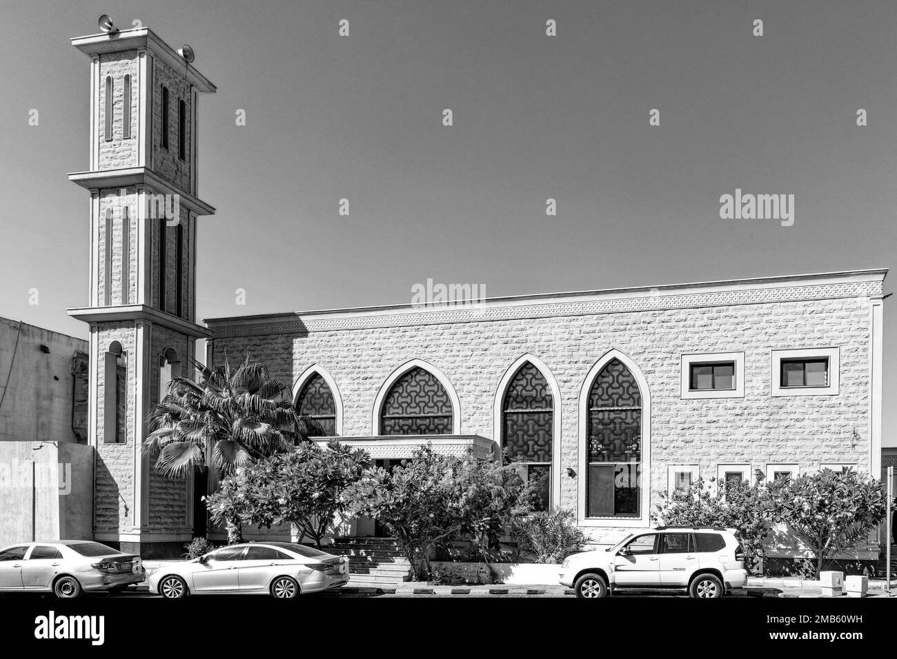 Mosquées B&W. Banque D'Images