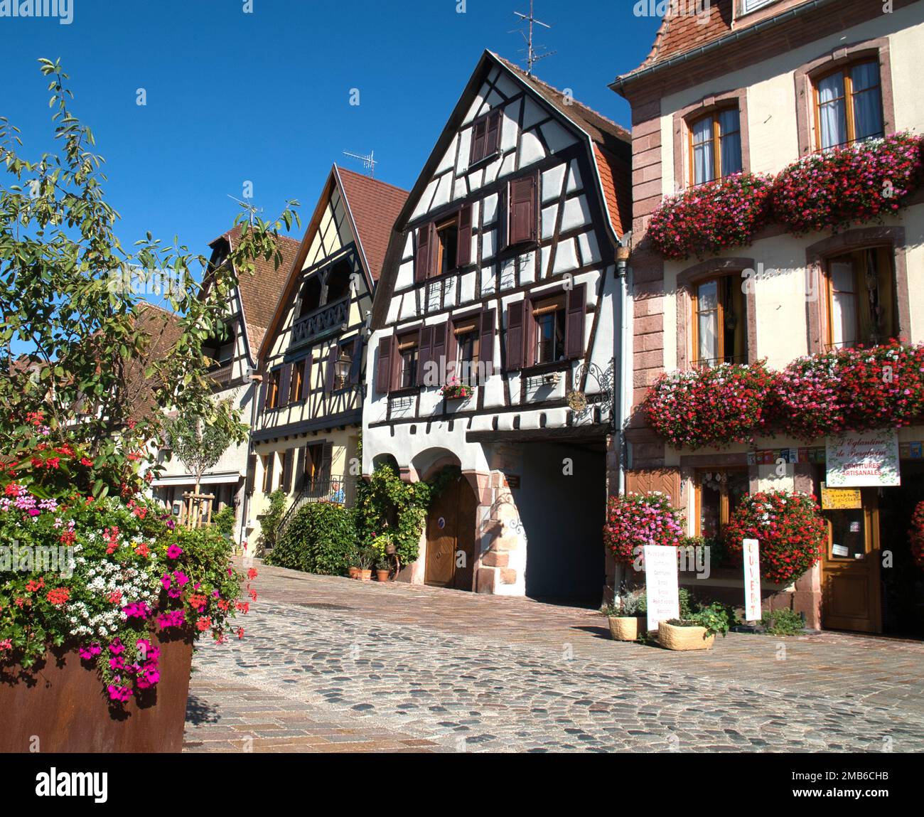 Maisons traditionnelles le long de la rue à Bergheim, Alsace, France Banque D'Images