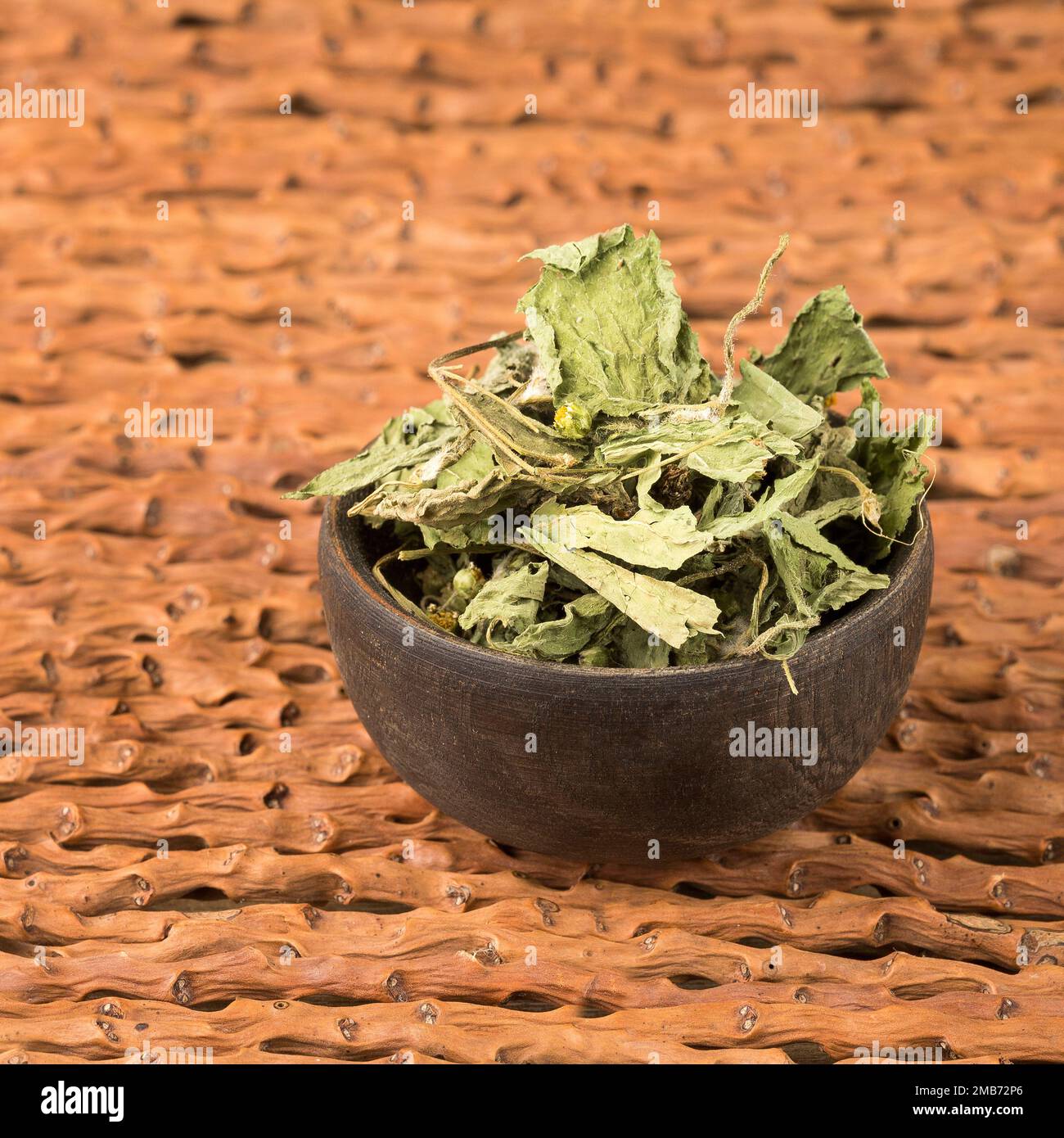 Galinsoga parviflora - feuilles de guasca séchées et déshydratées Banque D'Images