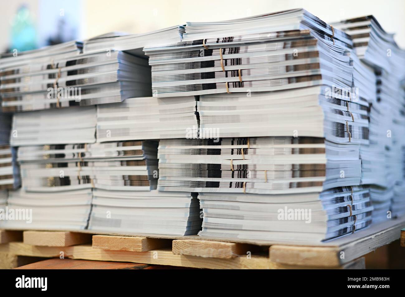 Lots de catalogues récemment imprimés empilés sur des palettes en bois dans une imprimerie moderne Banque D'Images