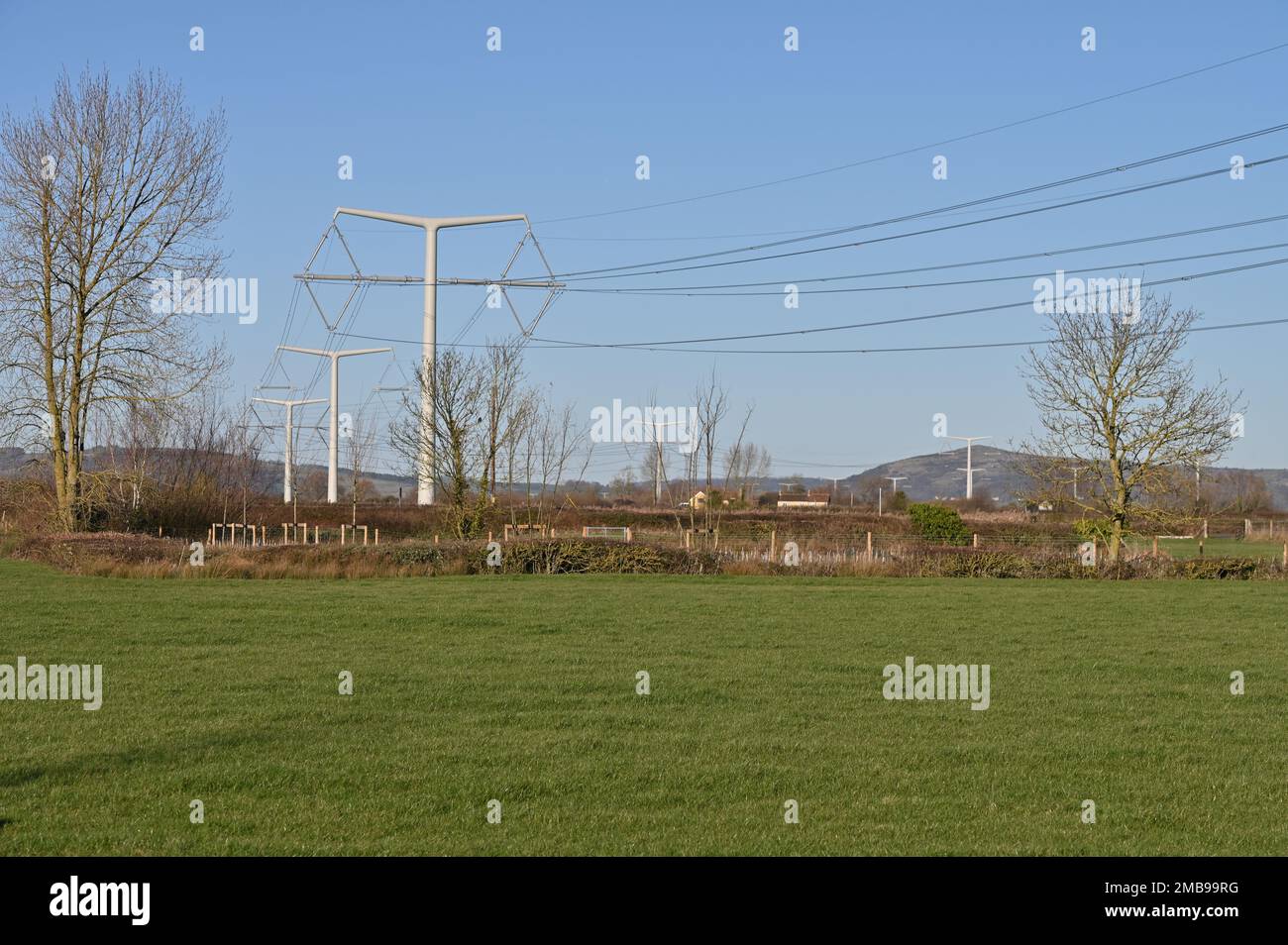 Somerset, Royaume-Uni. 20th janvier 2023. Par temps froid et sans vent, les premiers câbles d'alimentation électrique en T du monde peuvent être vus traversant une grande étendue du côté du pays à Mark Somerset. Crédit : Robert Timoney/Alamy Live News Banque D'Images