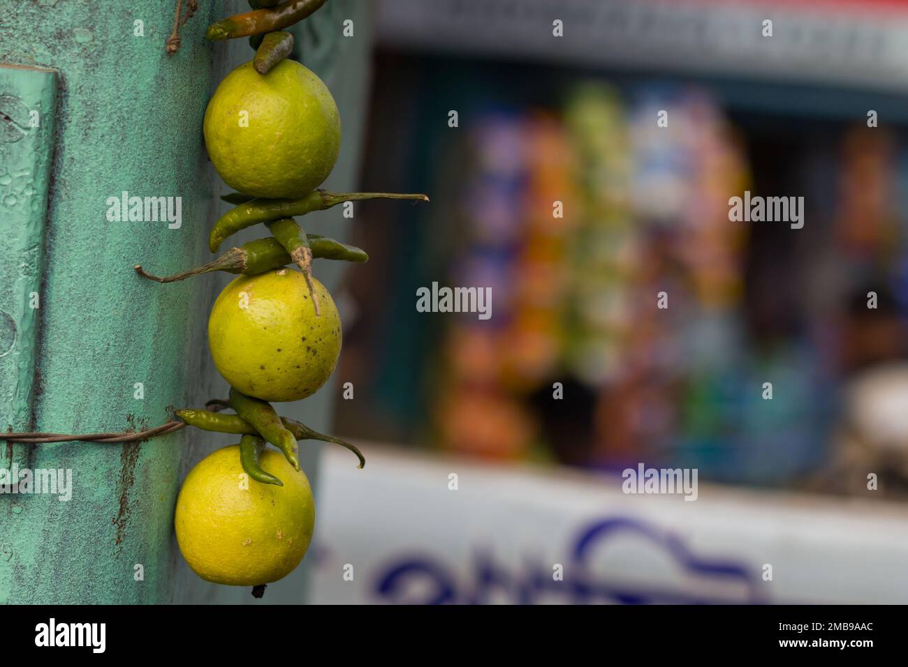 citron et piment vert accrochés au front de vente pour se protéger des mauvais yeux et éviter les catastrophes. C'est un rituel largement accepté dans la société indienne. Banque D'Images