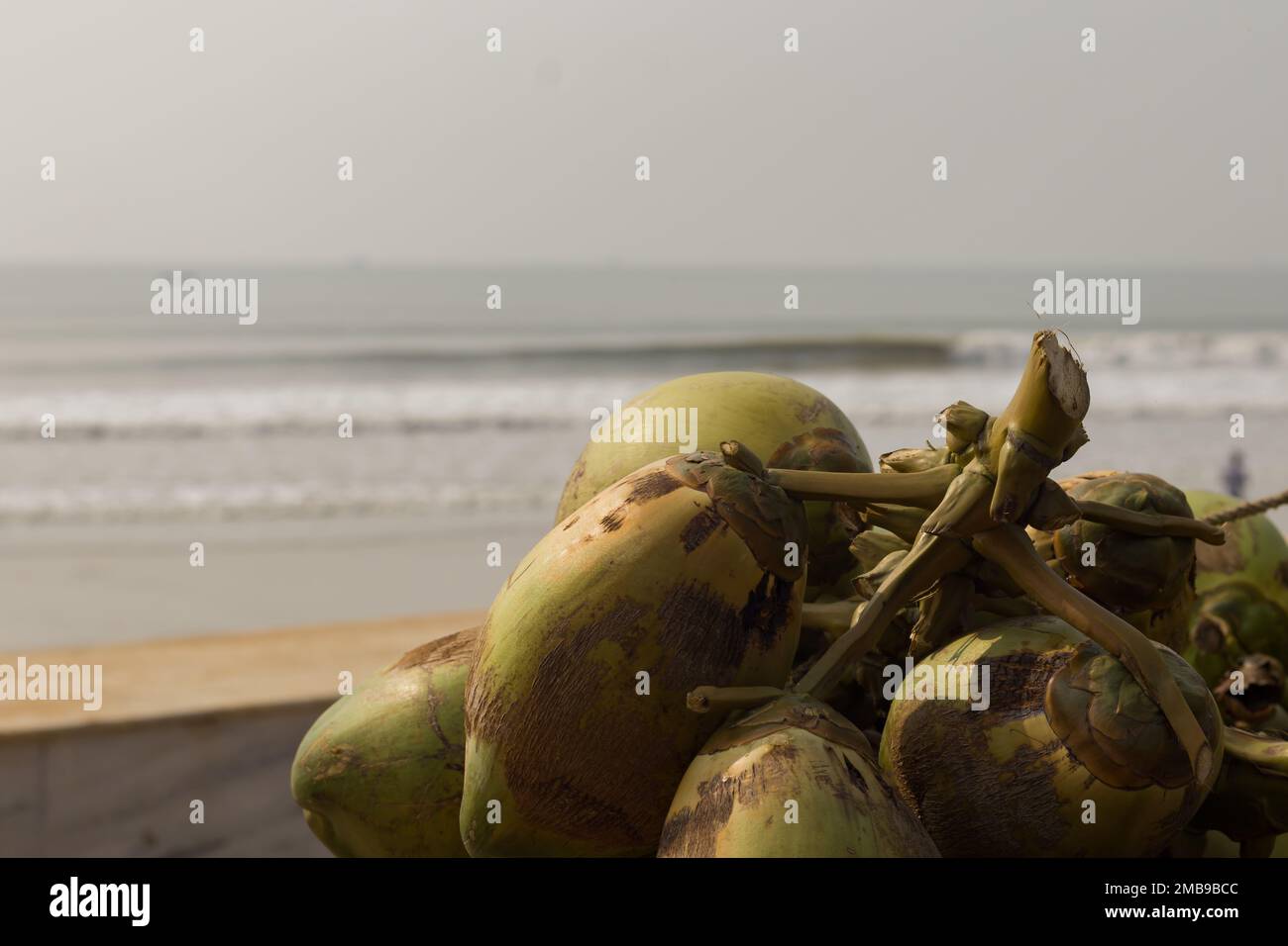 noix de coco tendre verte gardée près de la plage de la mer pour vendre de l'eau de coco. L'eau de coco est une boisson d'été rafraîchissante et saine. Banque D'Images